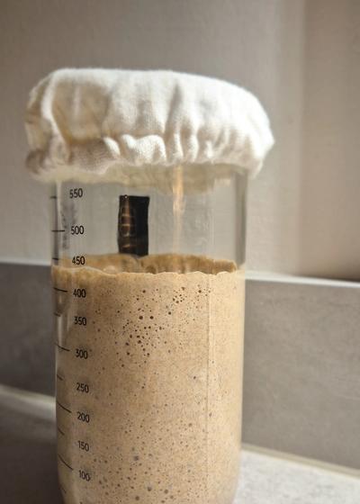 Sauerteig-Starter für Anfänger mit Roggenvollkorn - Bild 3