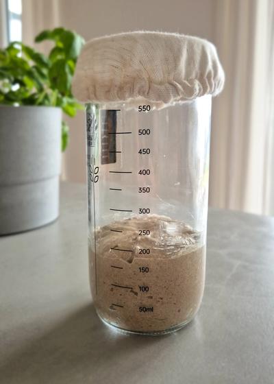 Sauerteig-Starter für Anfänger mit Roggenvollkorn - Hauptbild