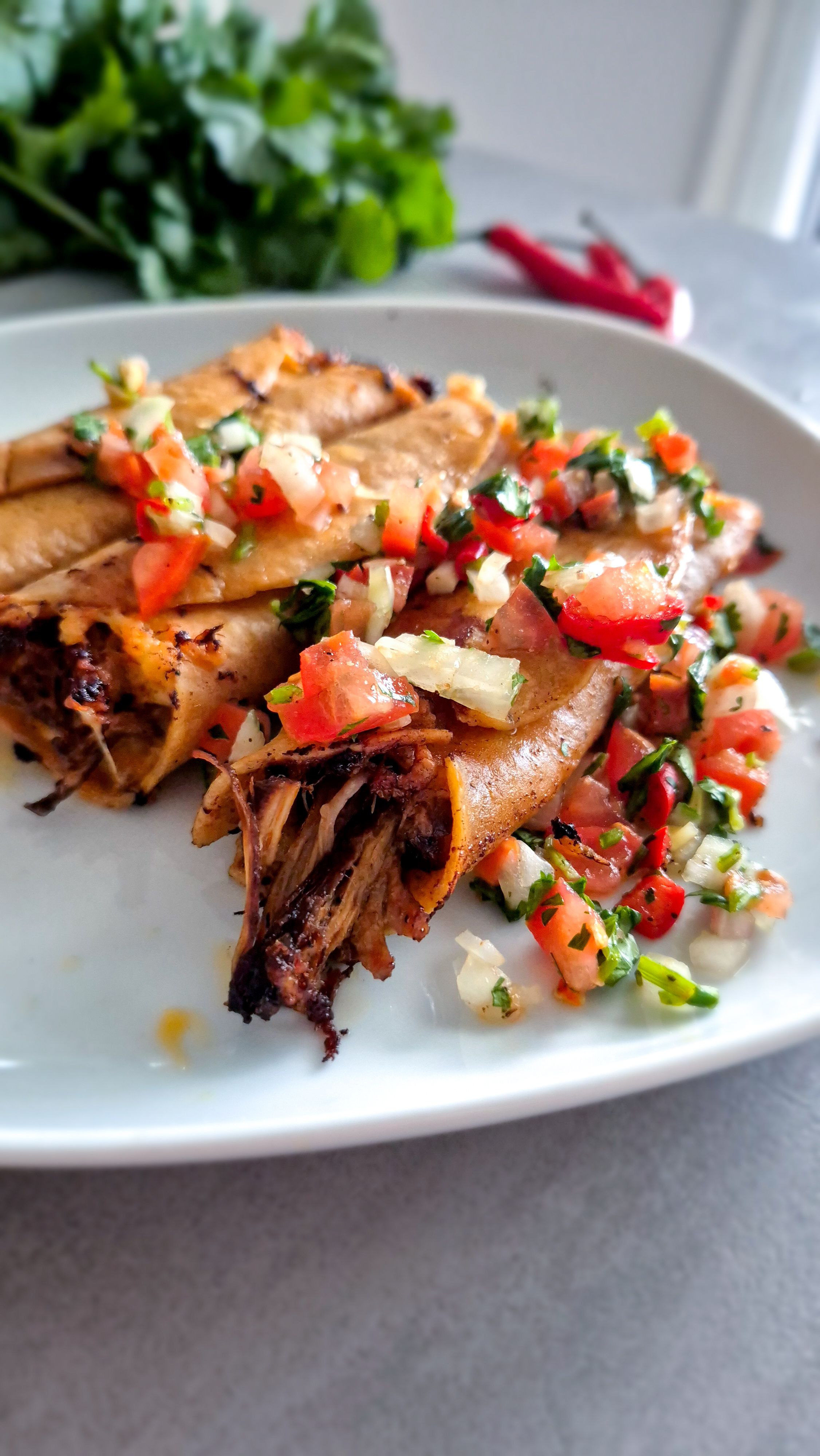 Carnitas en Salsa - Thumbnail 2