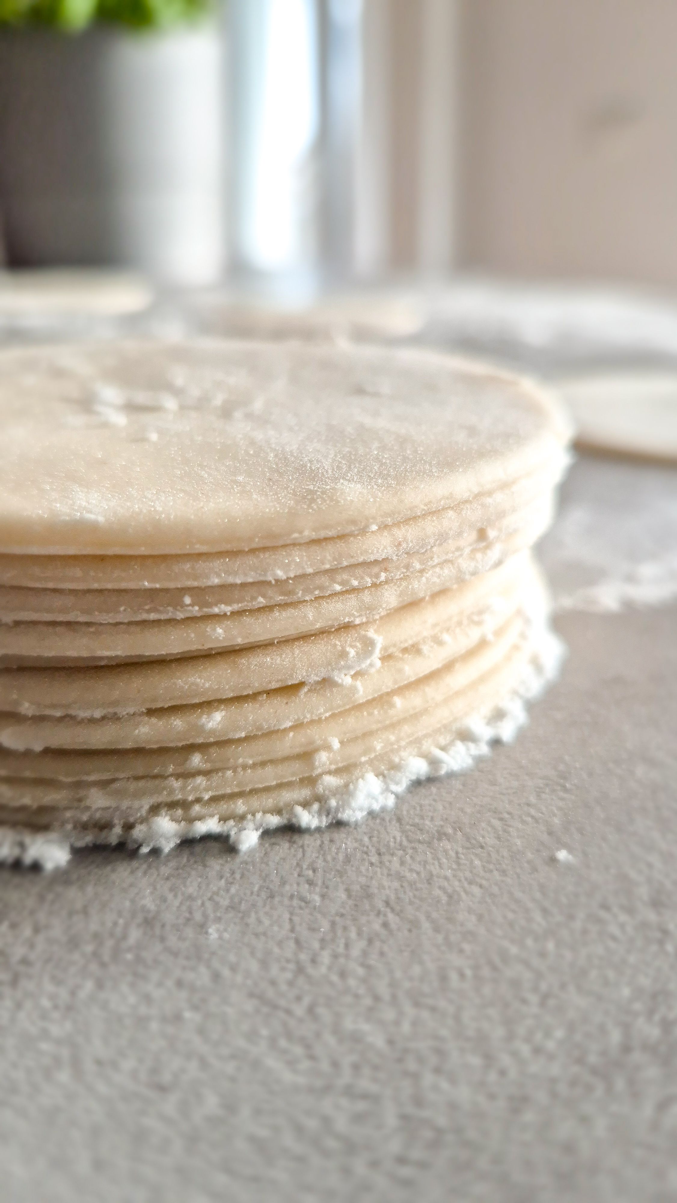 Gyoza Teig - Blätter einfach selber machen - Thumbnail 2