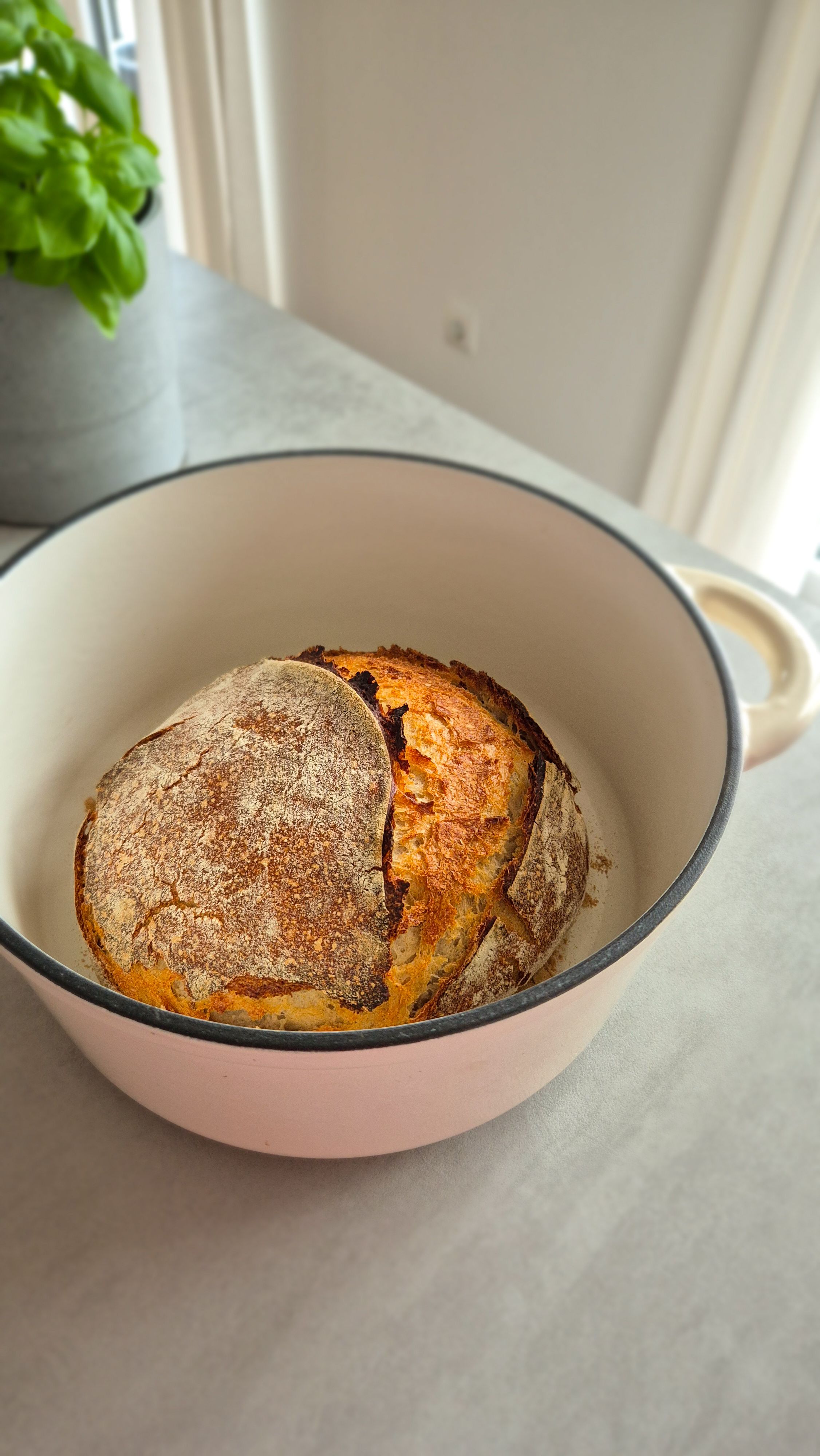 Das einfachste Sauerteigbrot der Welt - Bild 3