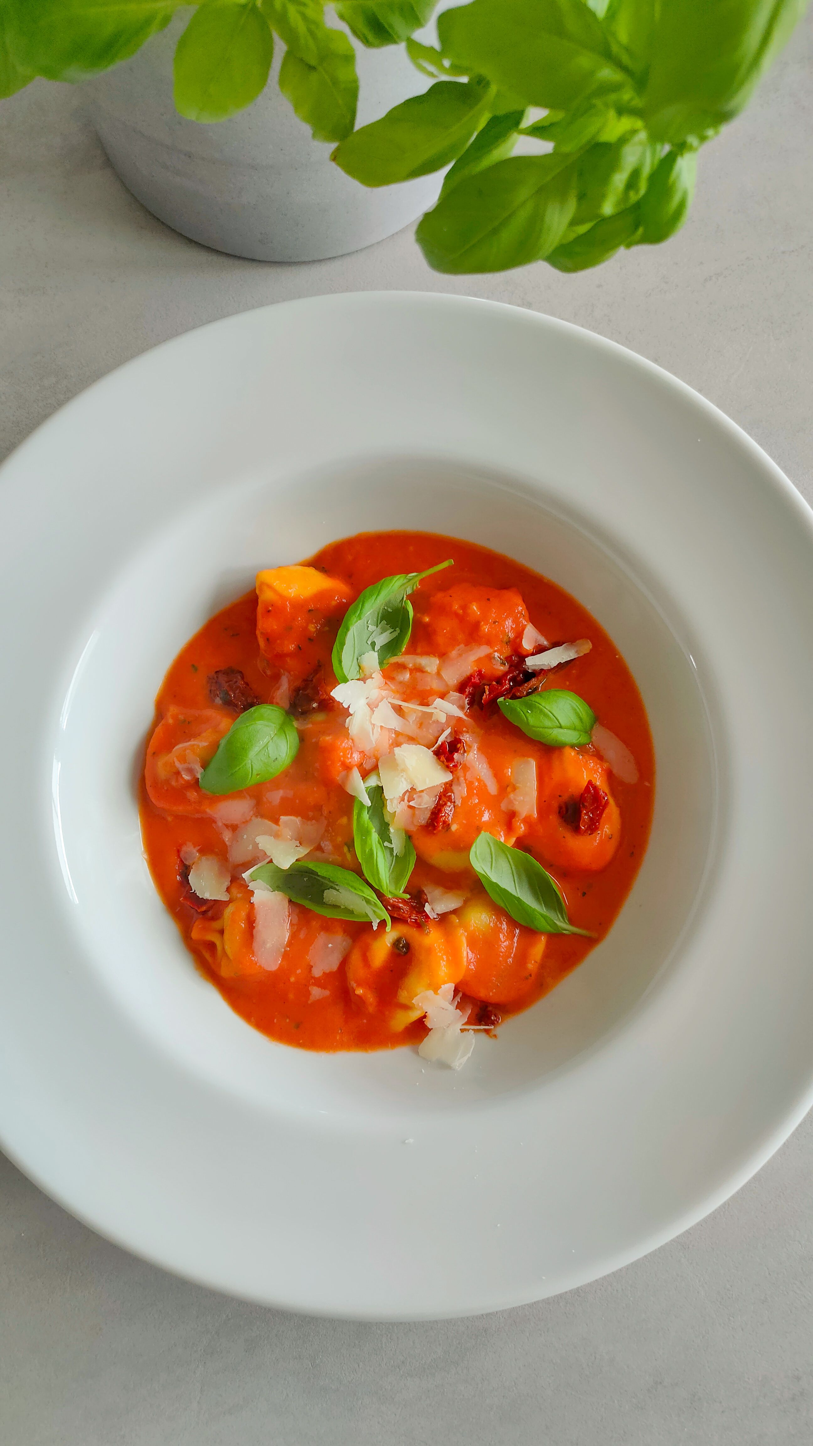 Tomaten-Tortellini-Suppe - Bild 2