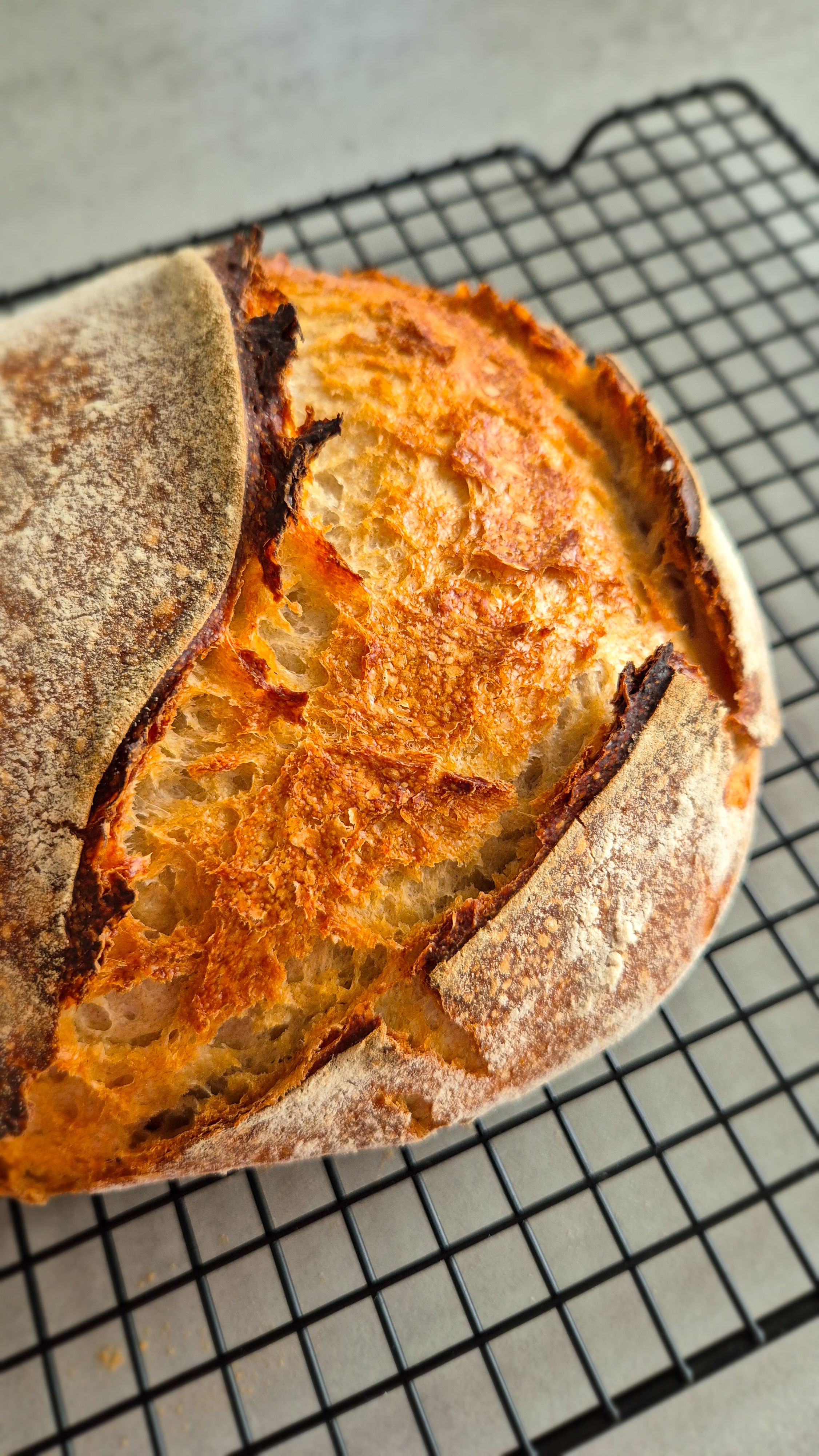 Das einfachste Sauerteigbrot der Welt