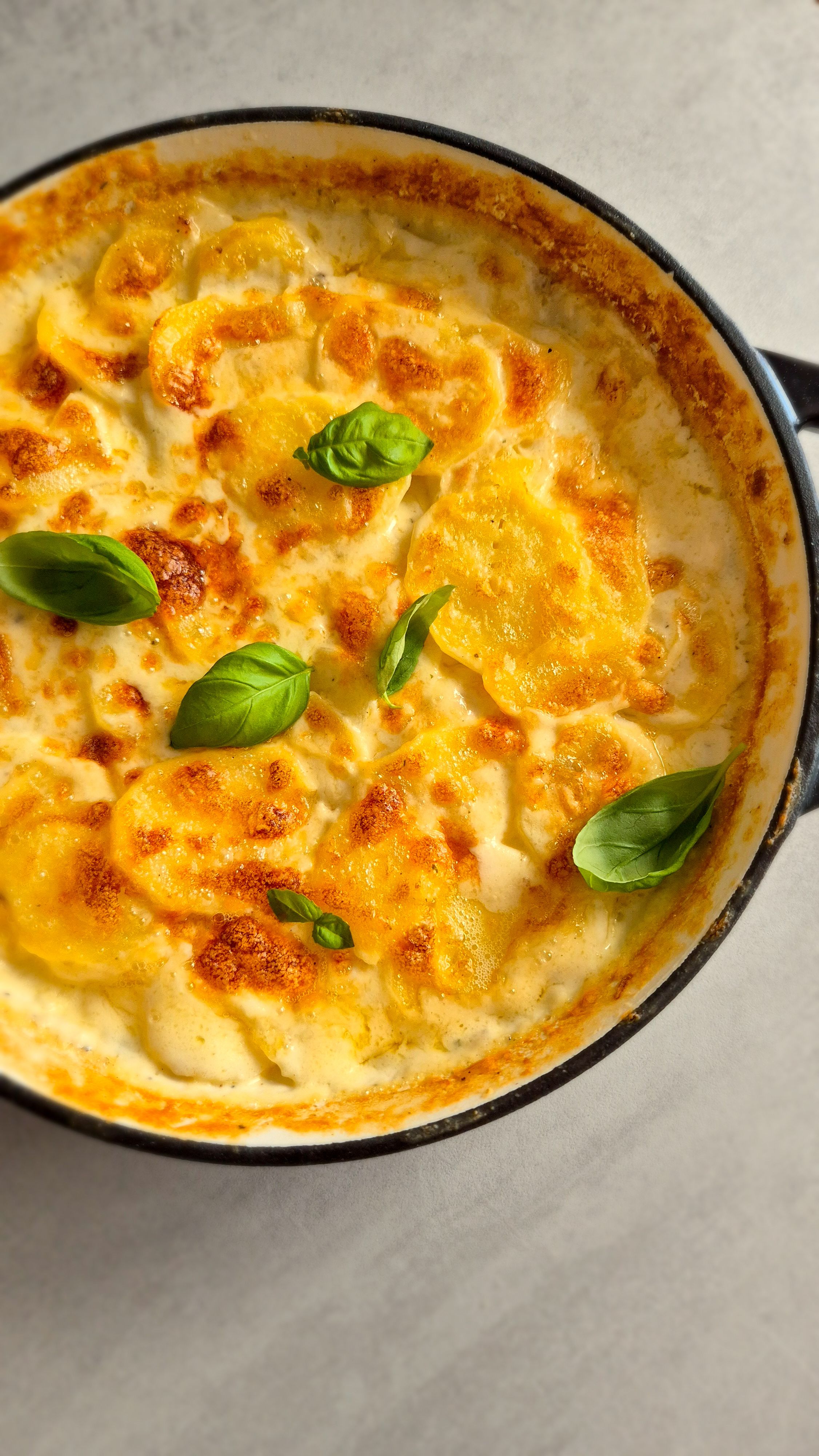 Einfaches Kartoffelgratin - Bild 3