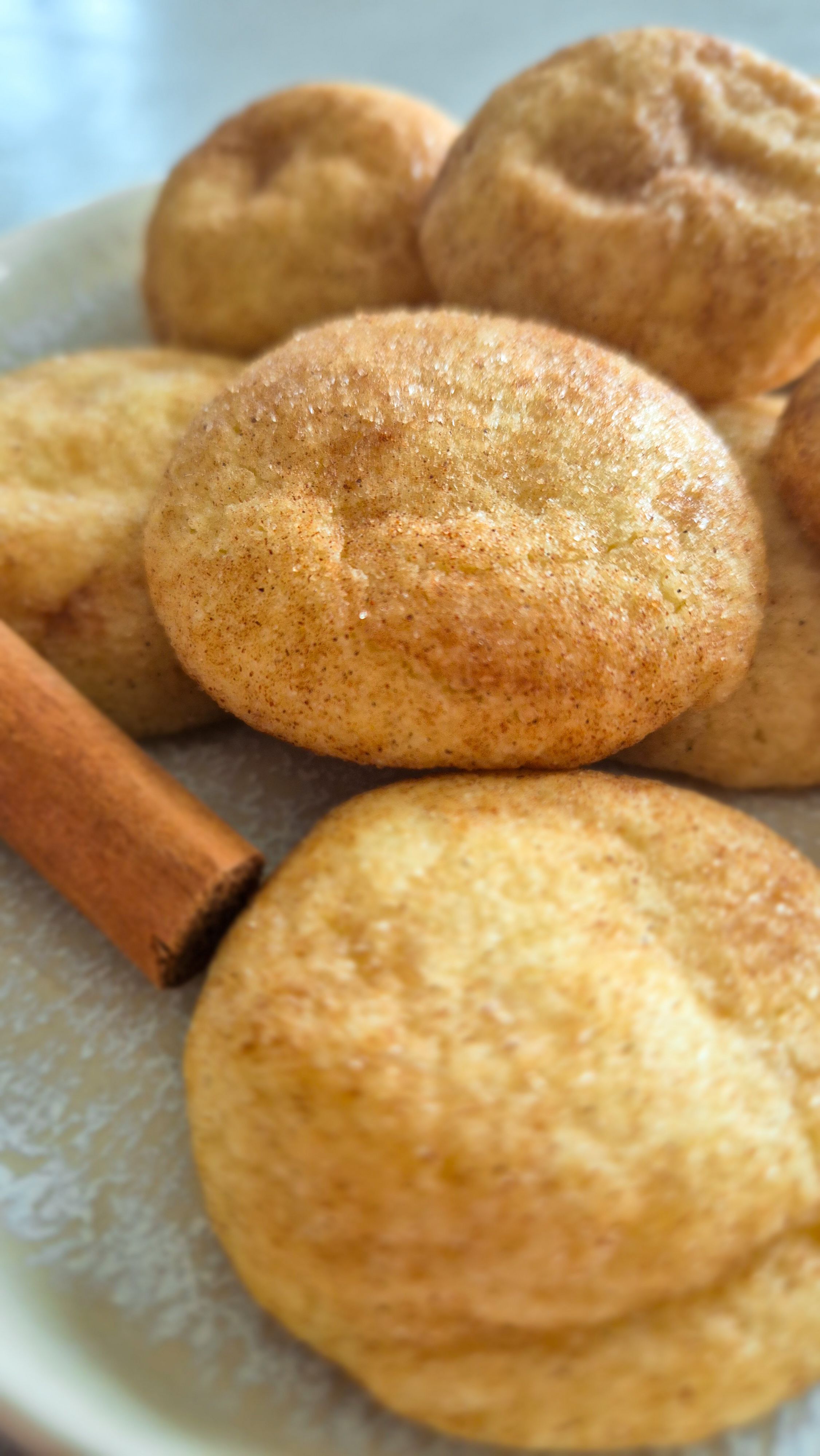 Frisch gebackene Snickerdoodles, weiche amerikanische Zimt-Cookies (Kekse) auf einem Teller serviert.