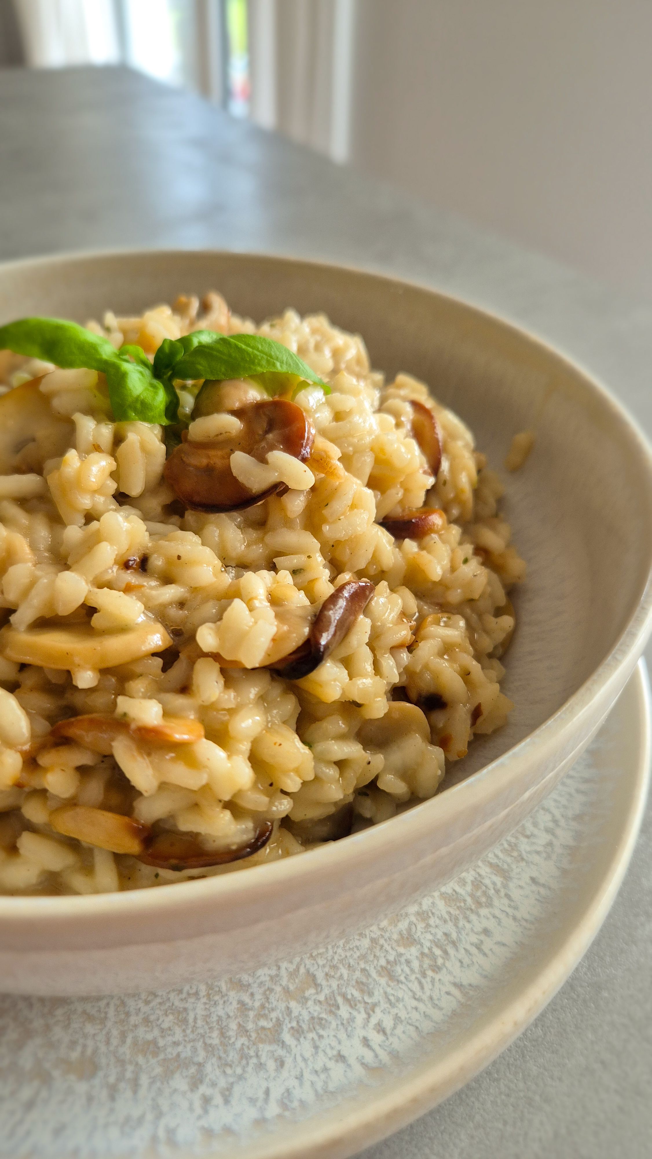Cremiges Pilz Risotto