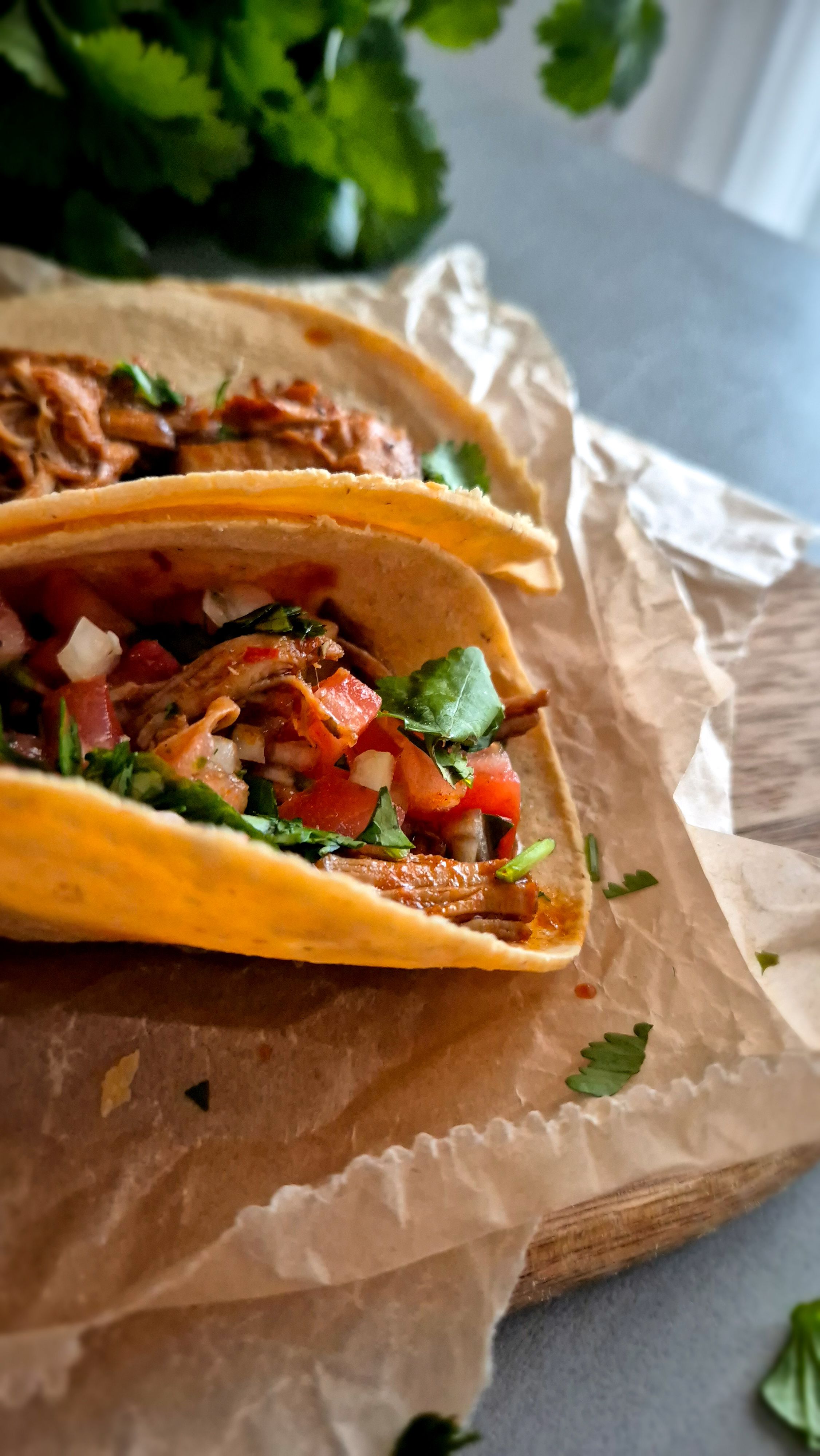 Carnitas en Salsa