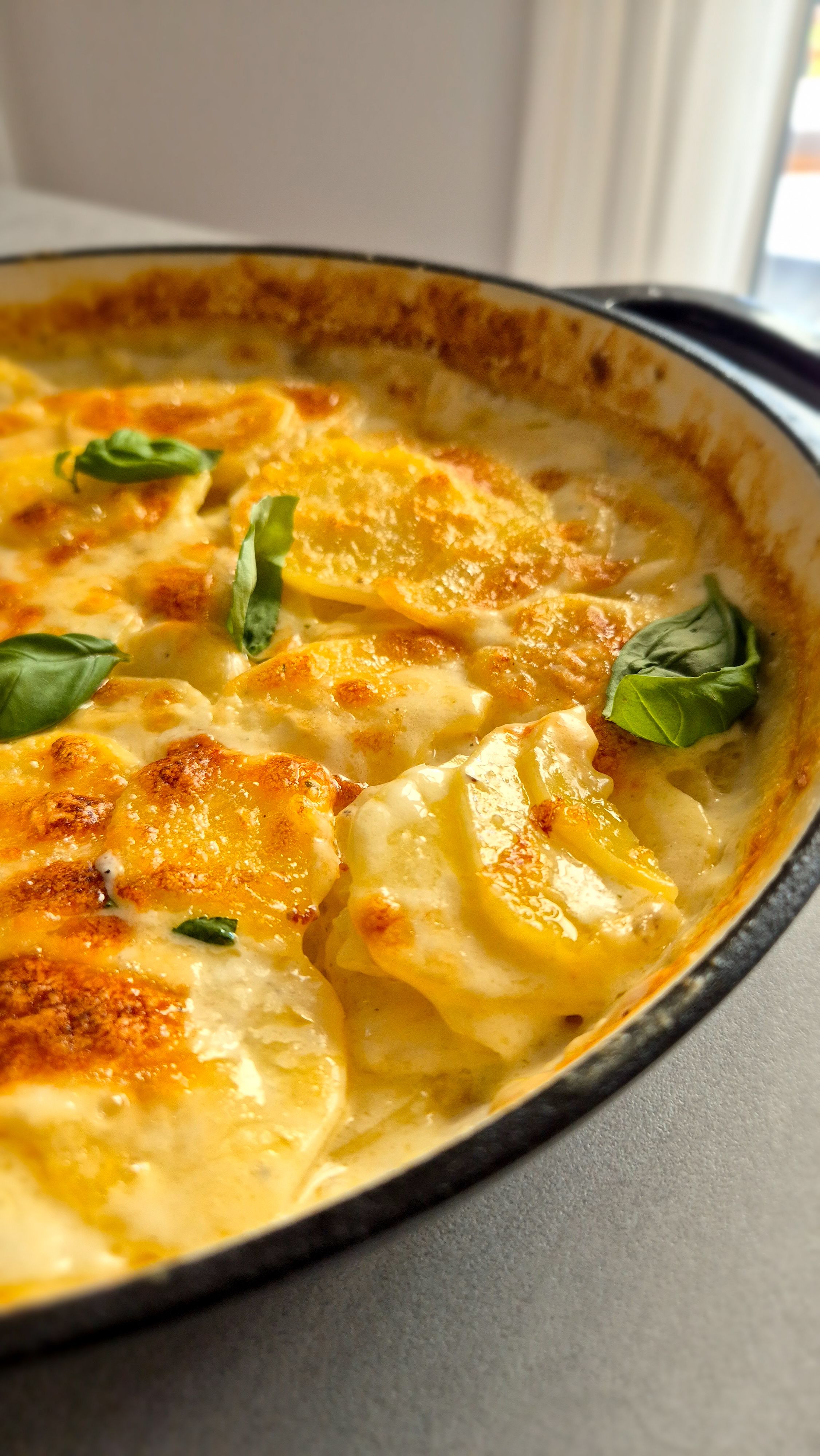 Einfaches Kartoffelgratin - Bild 4