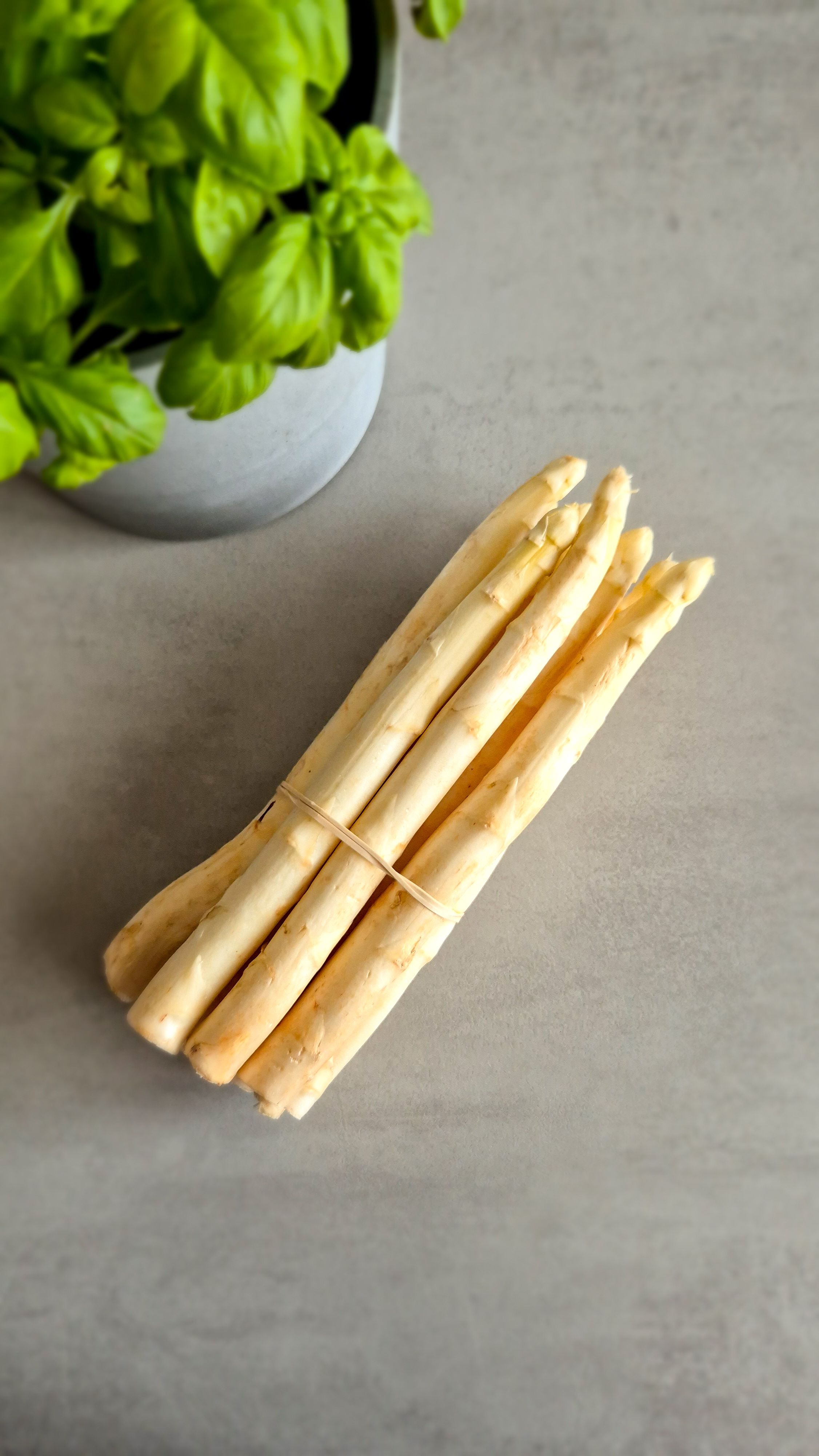 Spargel - einfach kochen - Bild 3