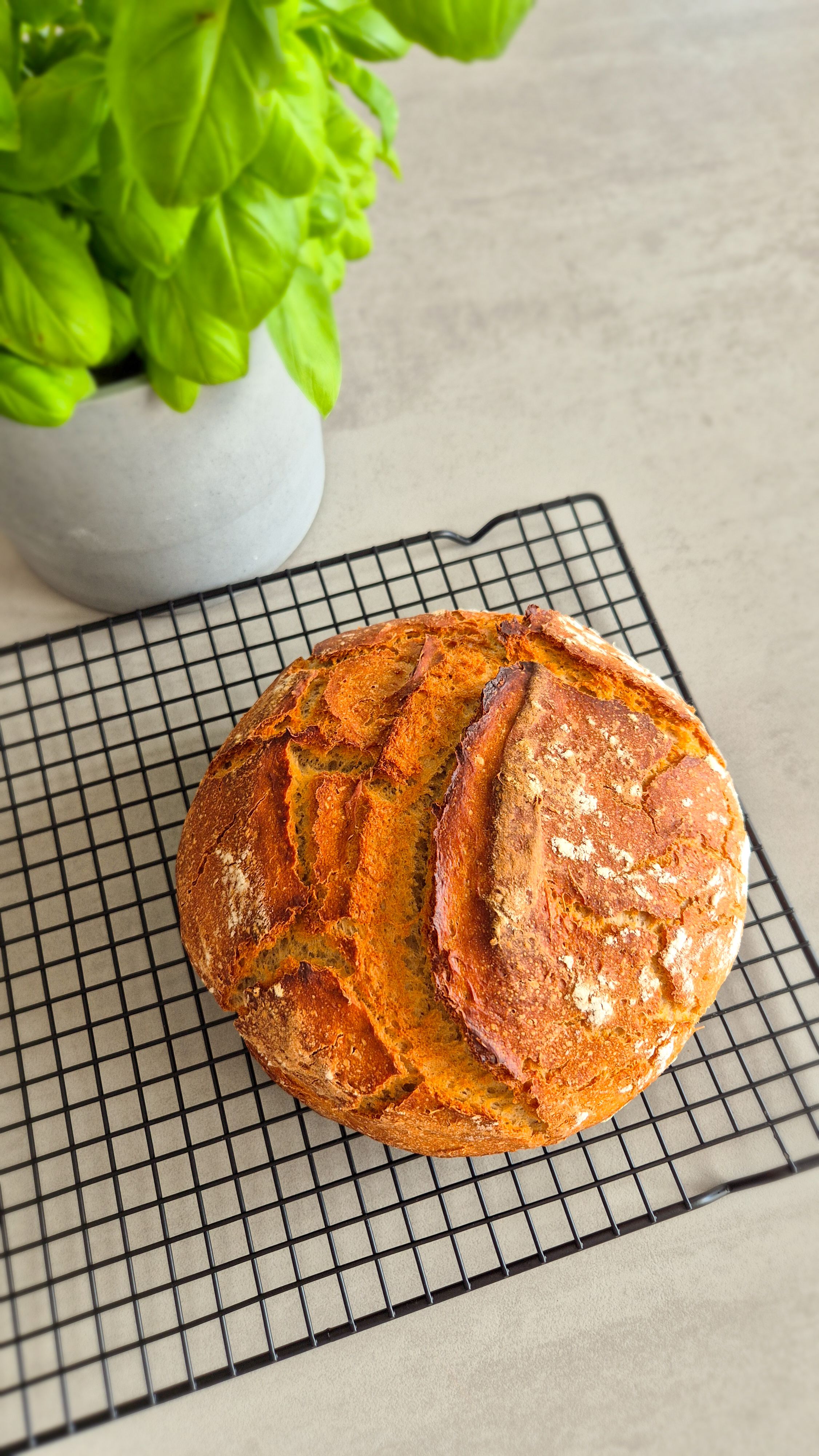 Joghurtkruste - Bild 5