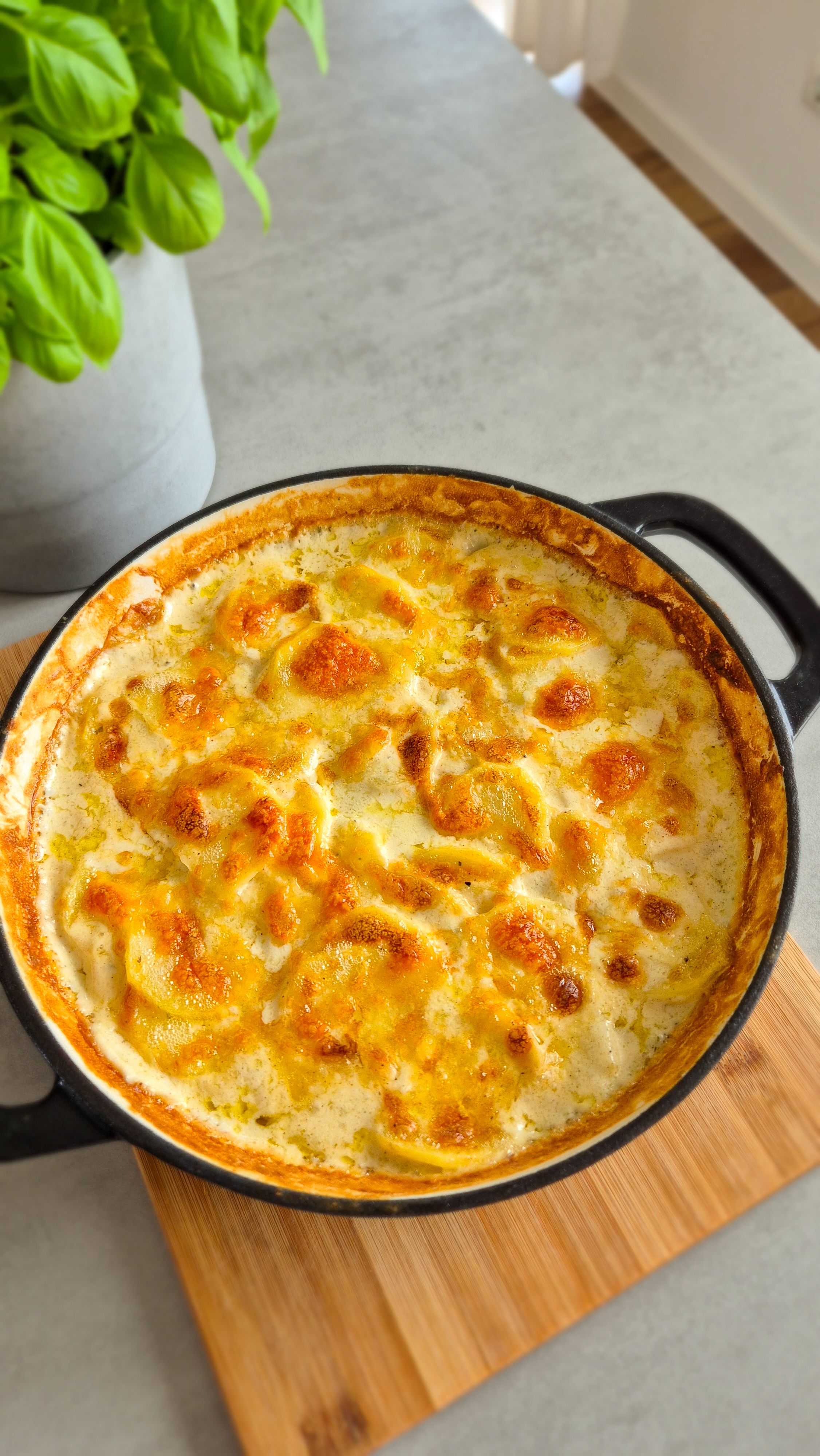 Cremiges Kartoffelgratin mit Käse - Bild 2