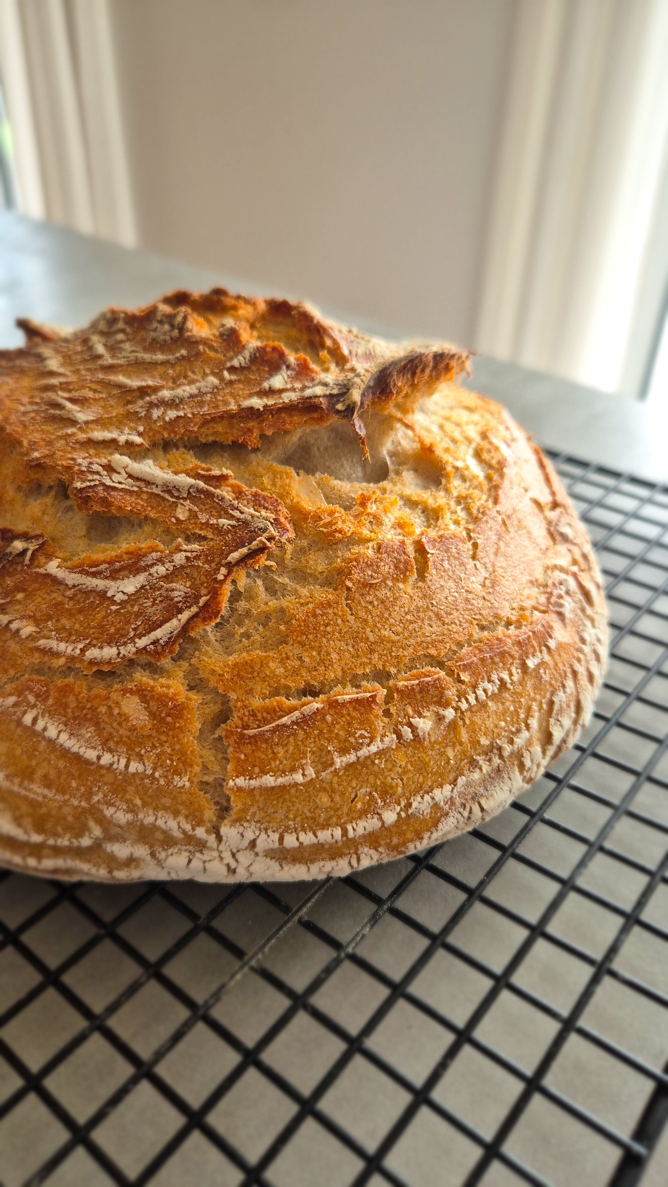 Das einfachste Sauerteigbrot der Welt - Thumbnail 4