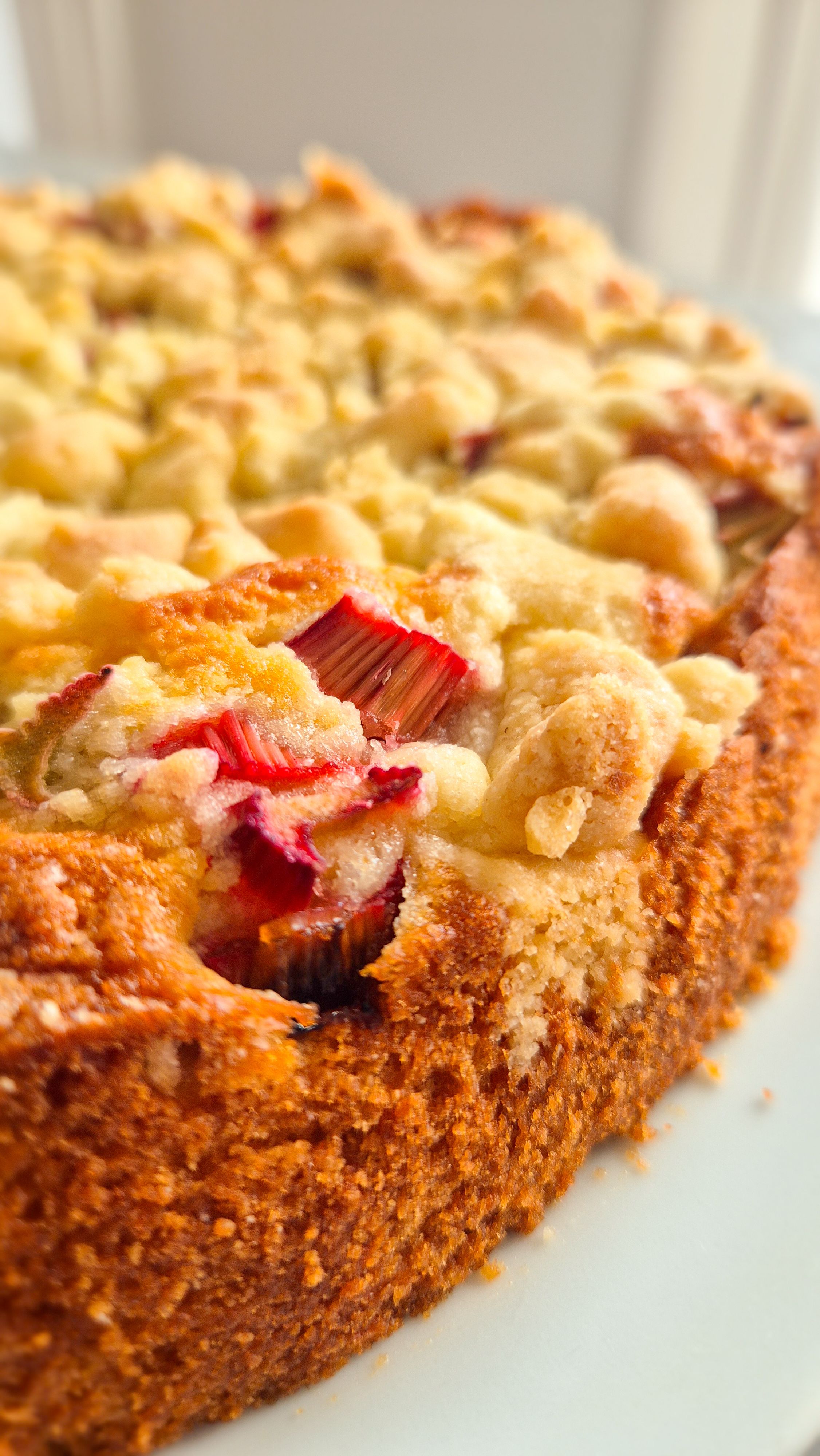 Rhabarber-Joghurt-Streuselkuchen - Thumbnail 3