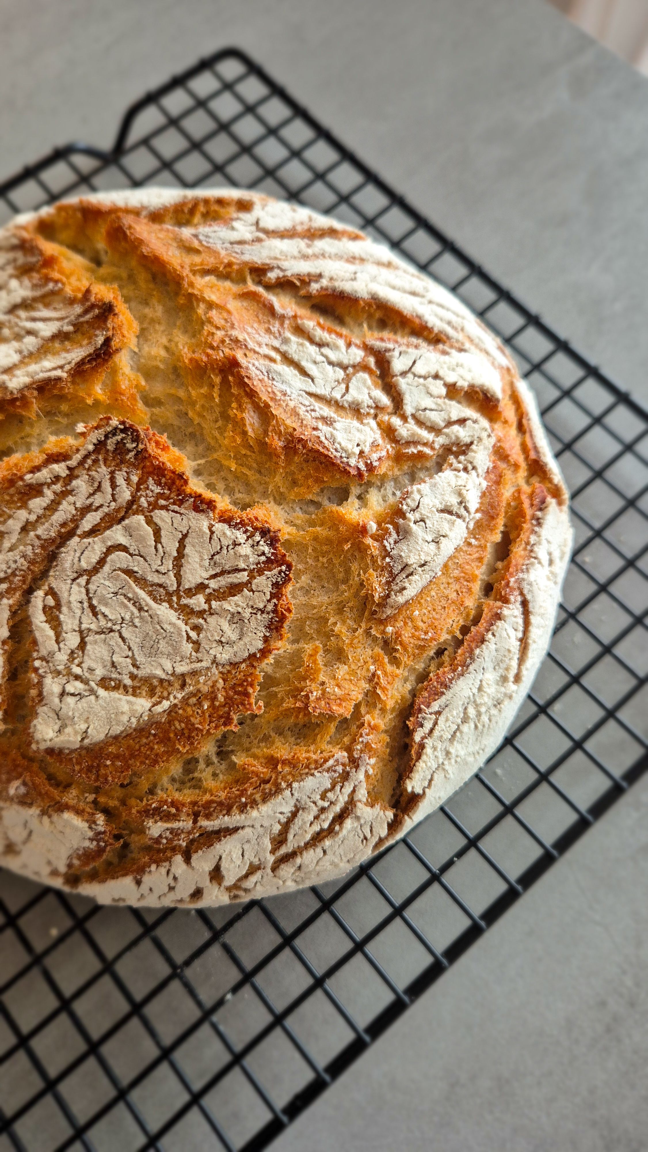 Das einfachste Sauerteigbrot der Welt - Bild 2