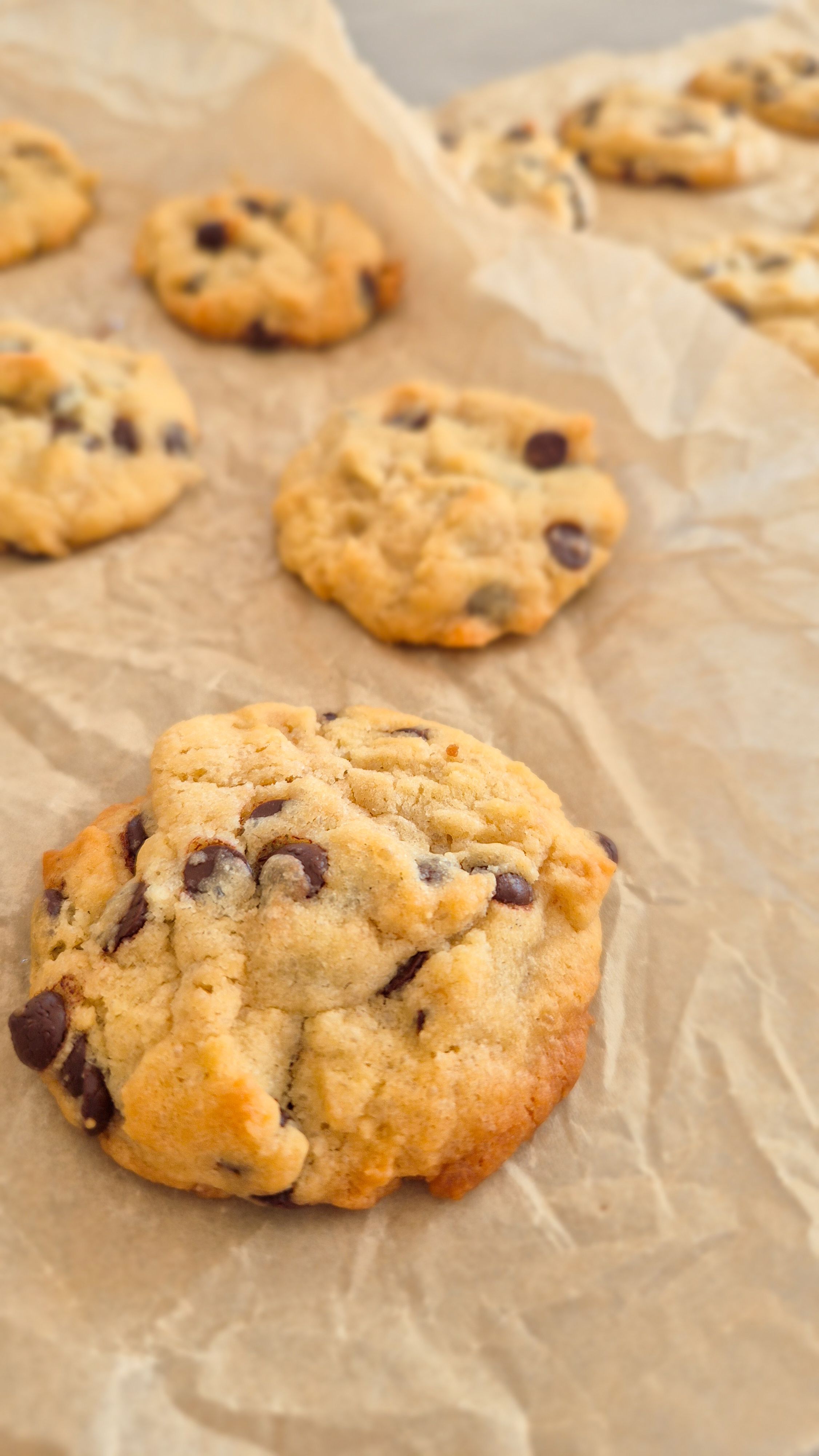American Chocolate Chip Cookies - Thumbnail 2