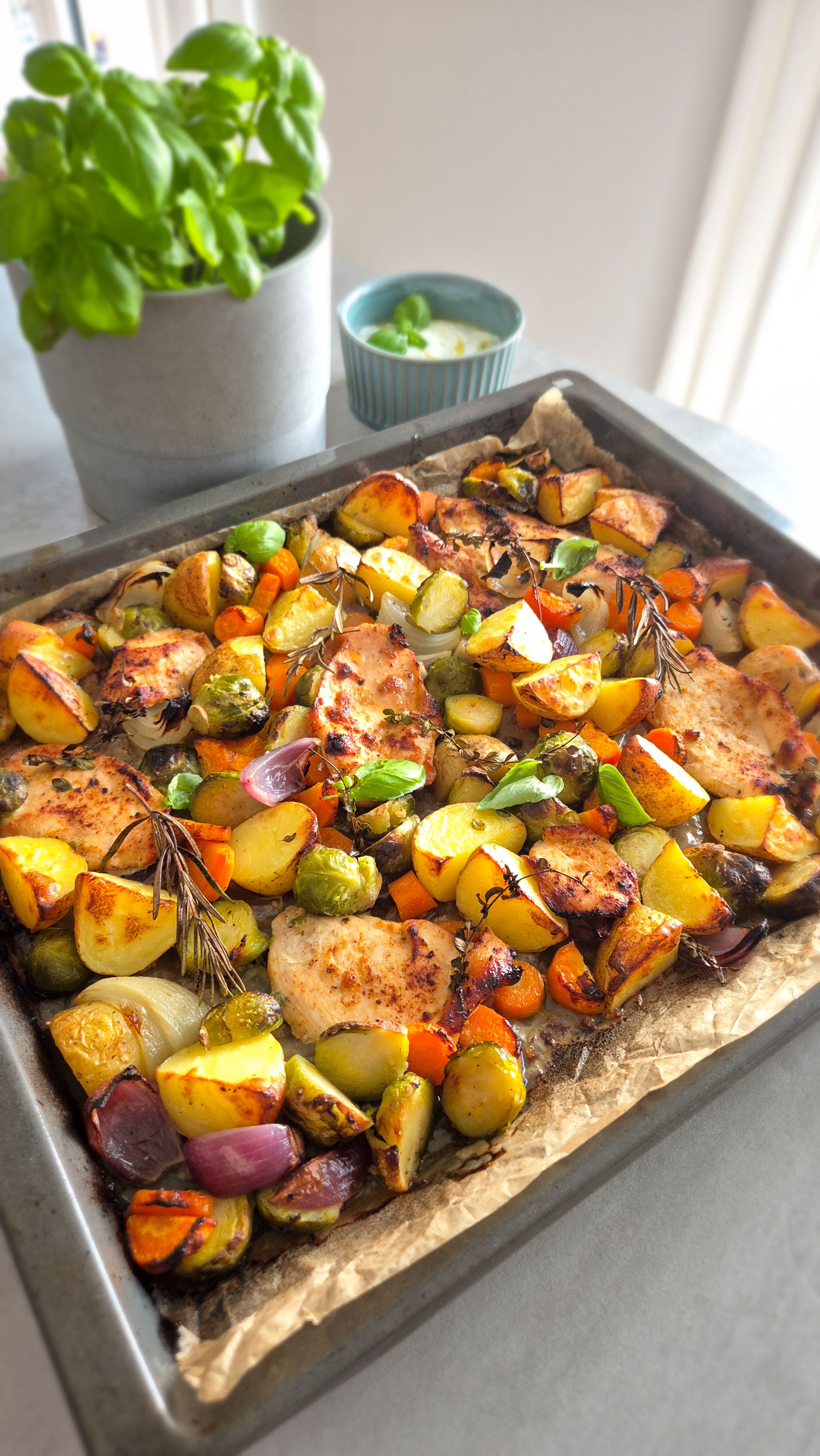 Buntes Ofengemüse mit zarter Hähnchenbrust - Thumbnail 3