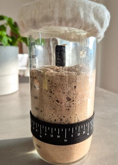Sauerteig-Starter für Anfänger mit Roggenvollkorn - Bild 4
