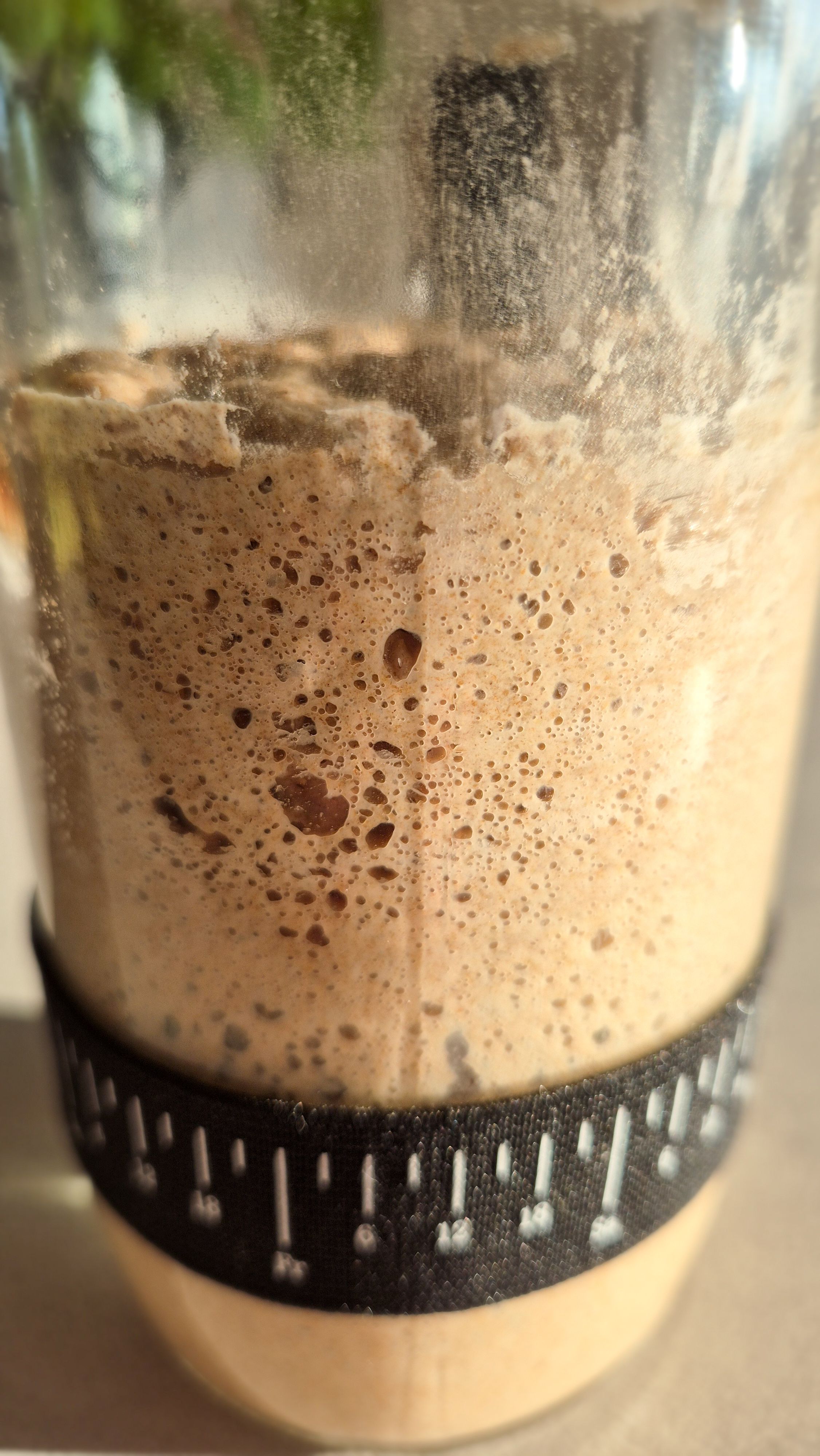 Sauerteig-Starter für Anfänger mit Roggenvollkorn - Bild 2