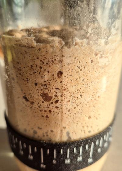 Sauerteig-Starter für Anfänger mit Roggenvollkorn - Bild 2
