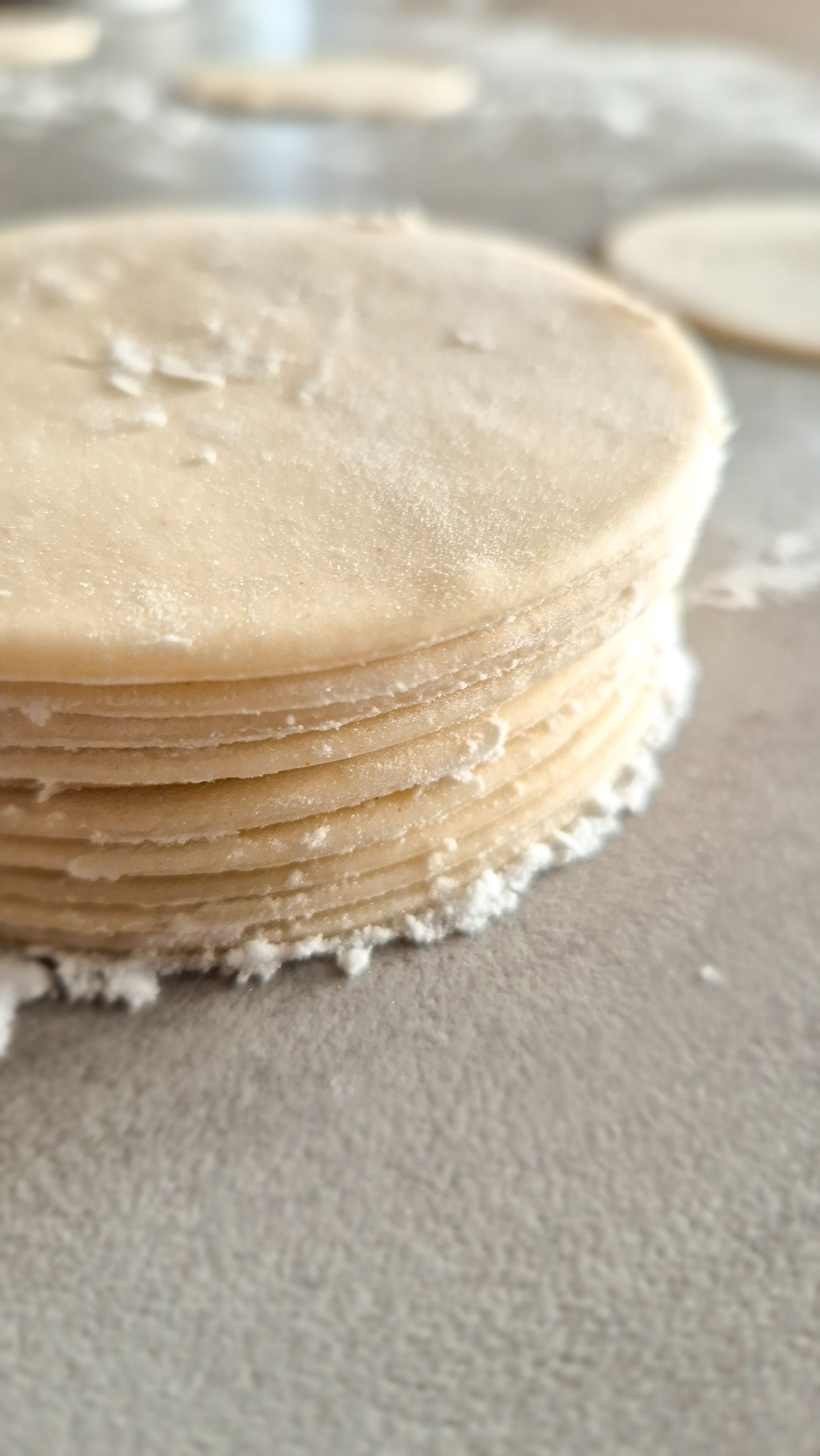 Gyoza Teig - Blätter einfach selber machen - Thumbnail 3