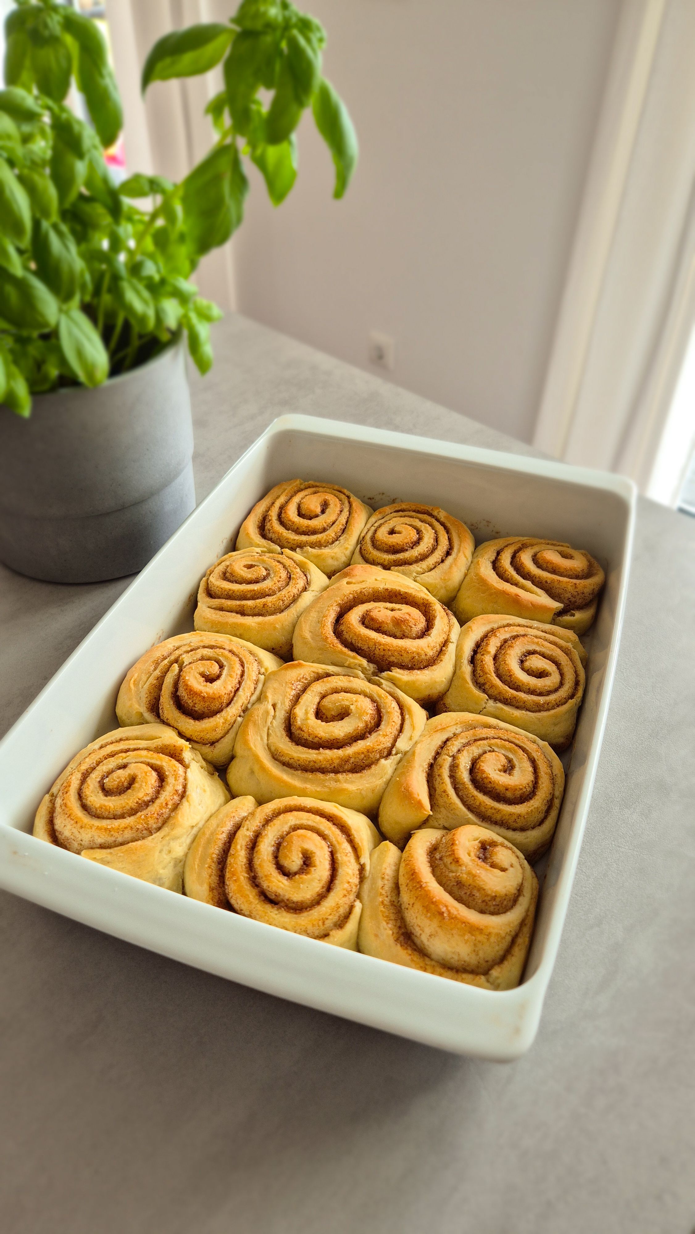 Tres Leches Cinnamon Rolls - Thumbnail 4