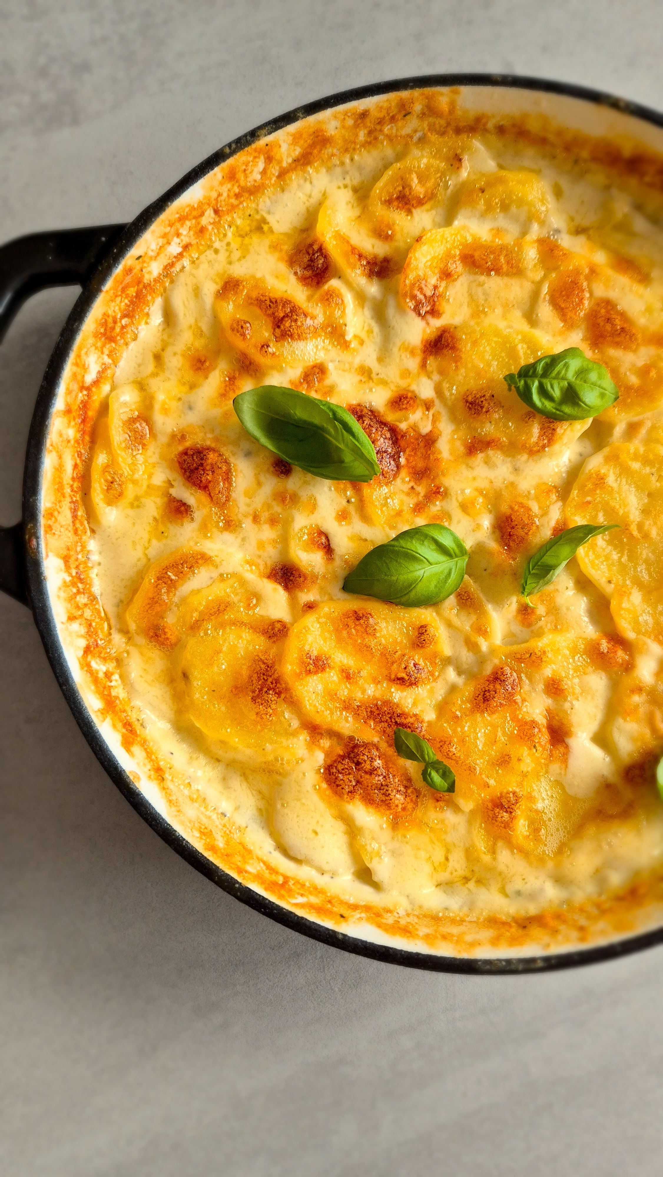 Einfaches Kartoffelgratin - Bild 2