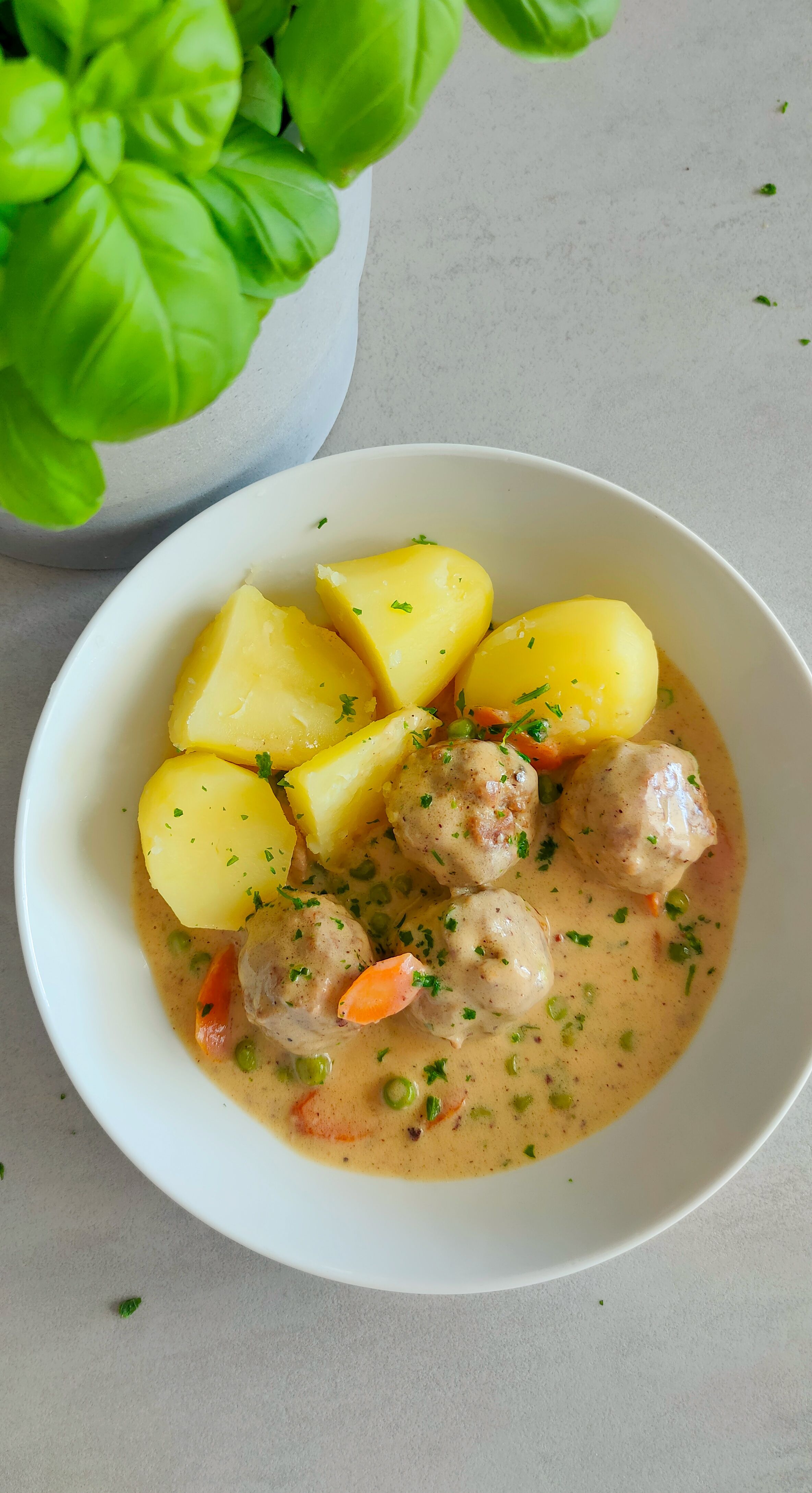 Wikingertopf - Bild 2