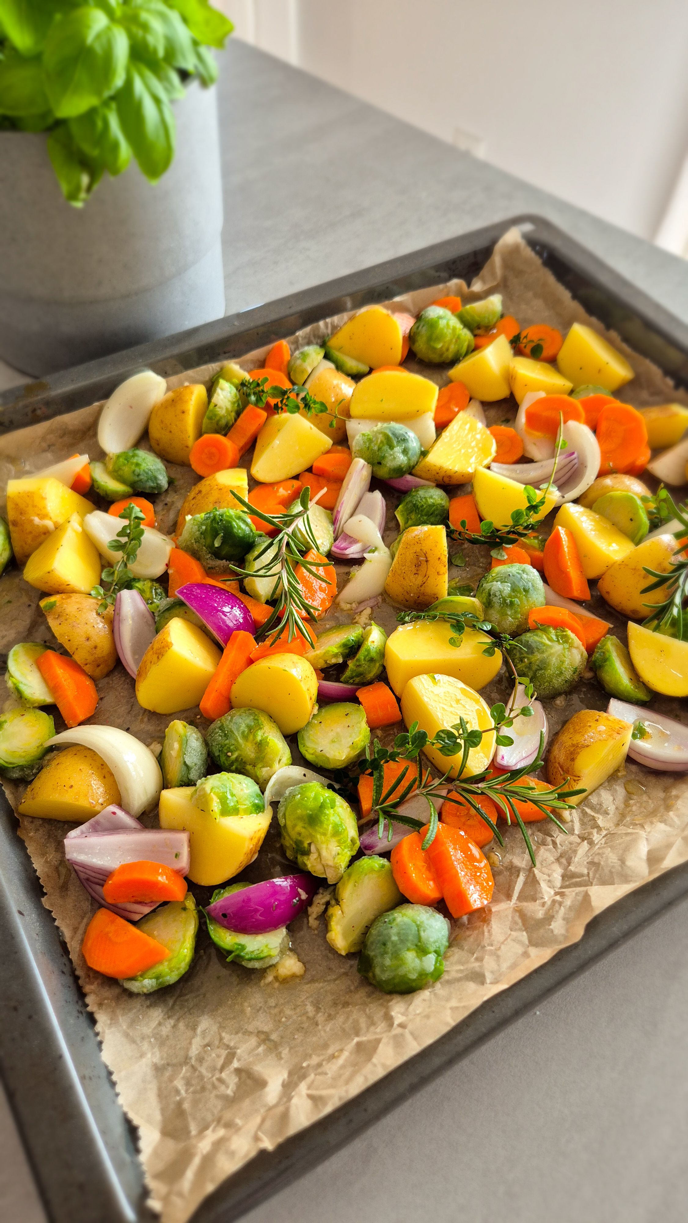 Buntes Ofengemüse mit zarter Hähnchenbrust - Thumbnail 4