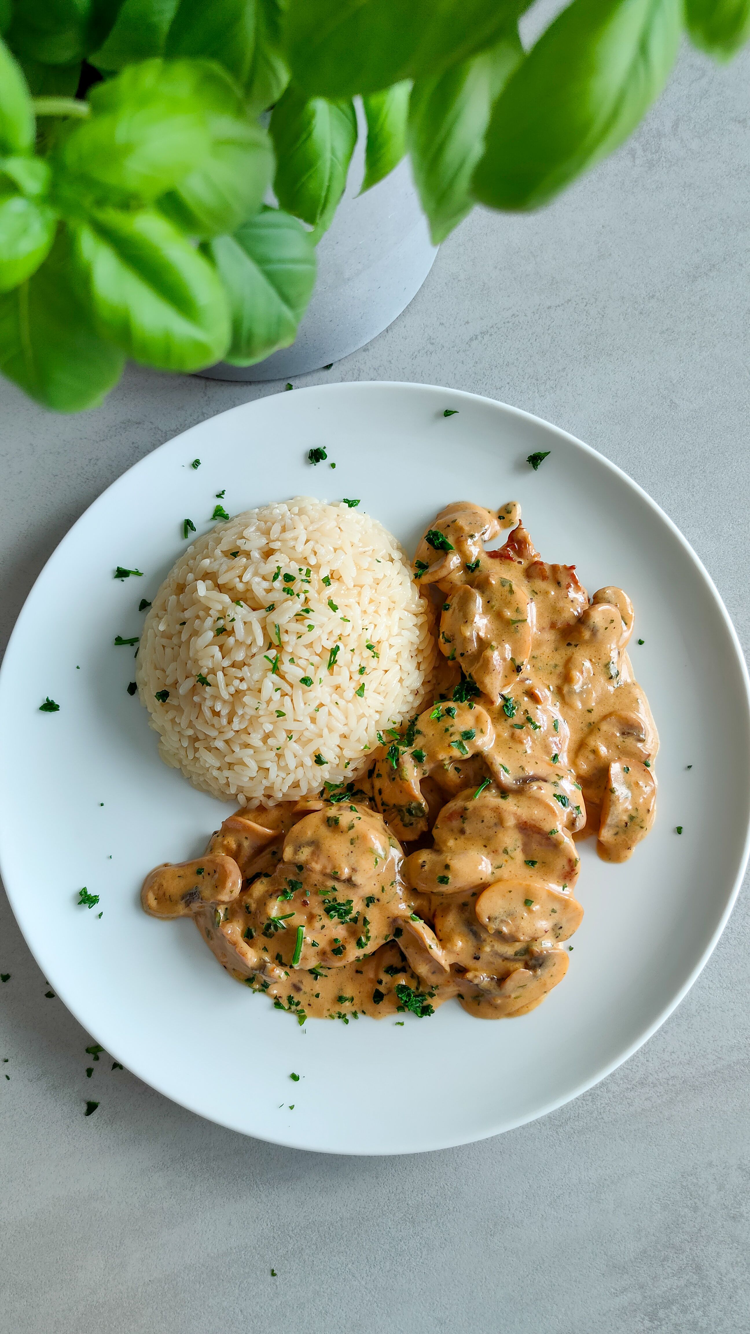 Schweinemedaillons in Champignon-Sahne-Sauce