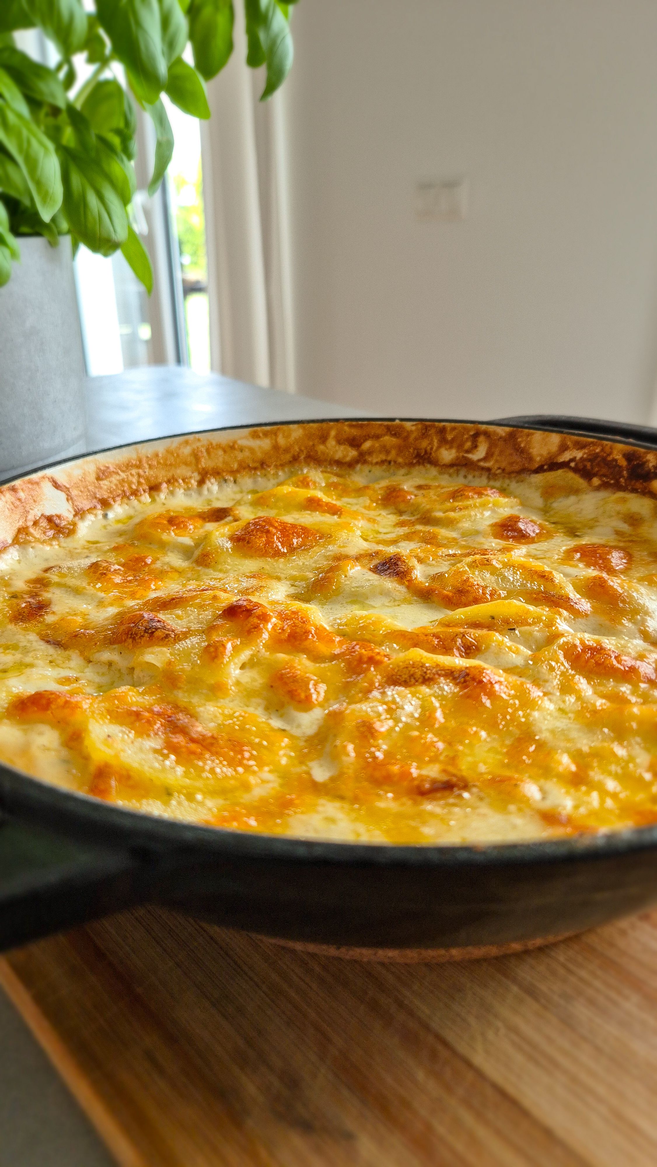 Cremiges Kartoffelgratin mit Käse - Bild 3