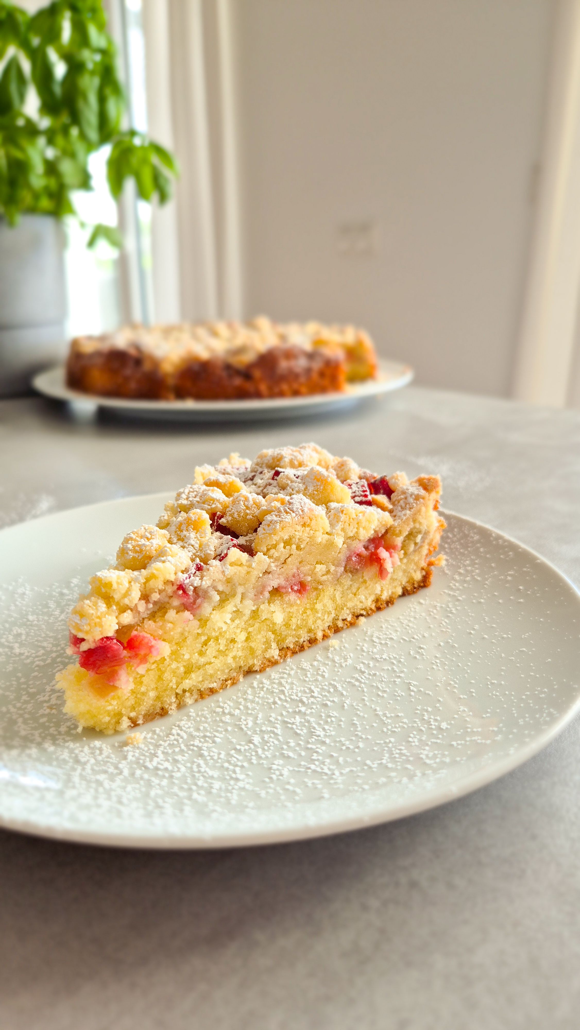 Rhabarber-Joghurt-Streuselkuchen - Thumbnail 4