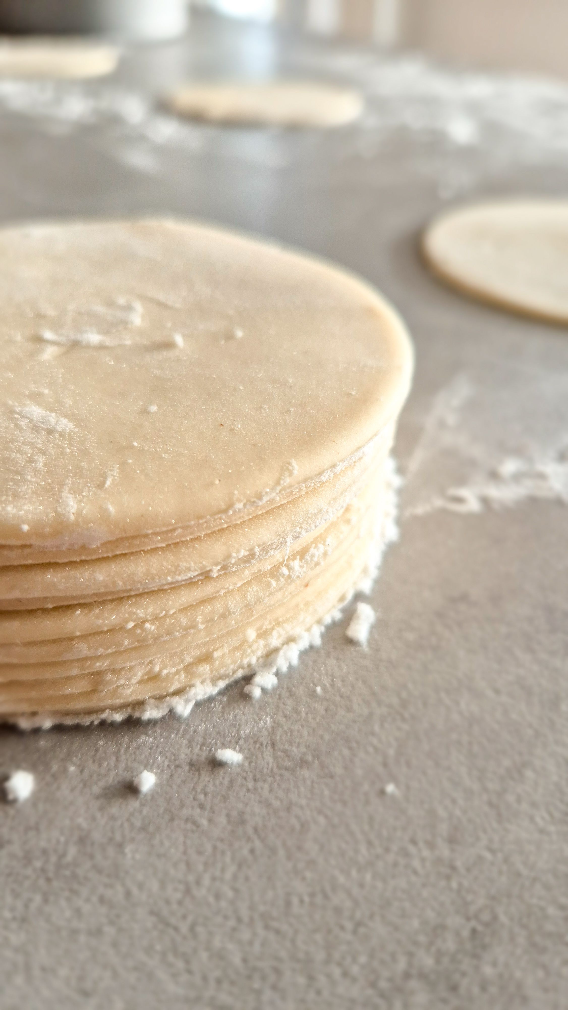 Gyoza Teig - Blätter einfach selber machen