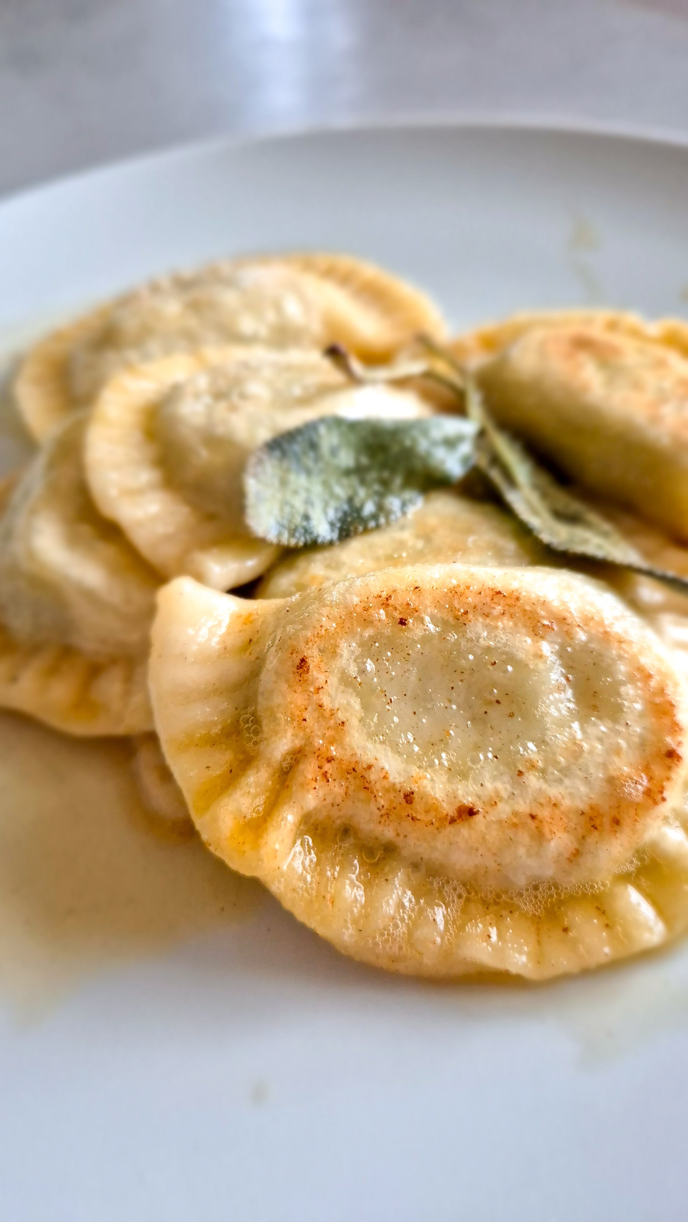 Brokkoli Cheddar Pierogi - Bild 3