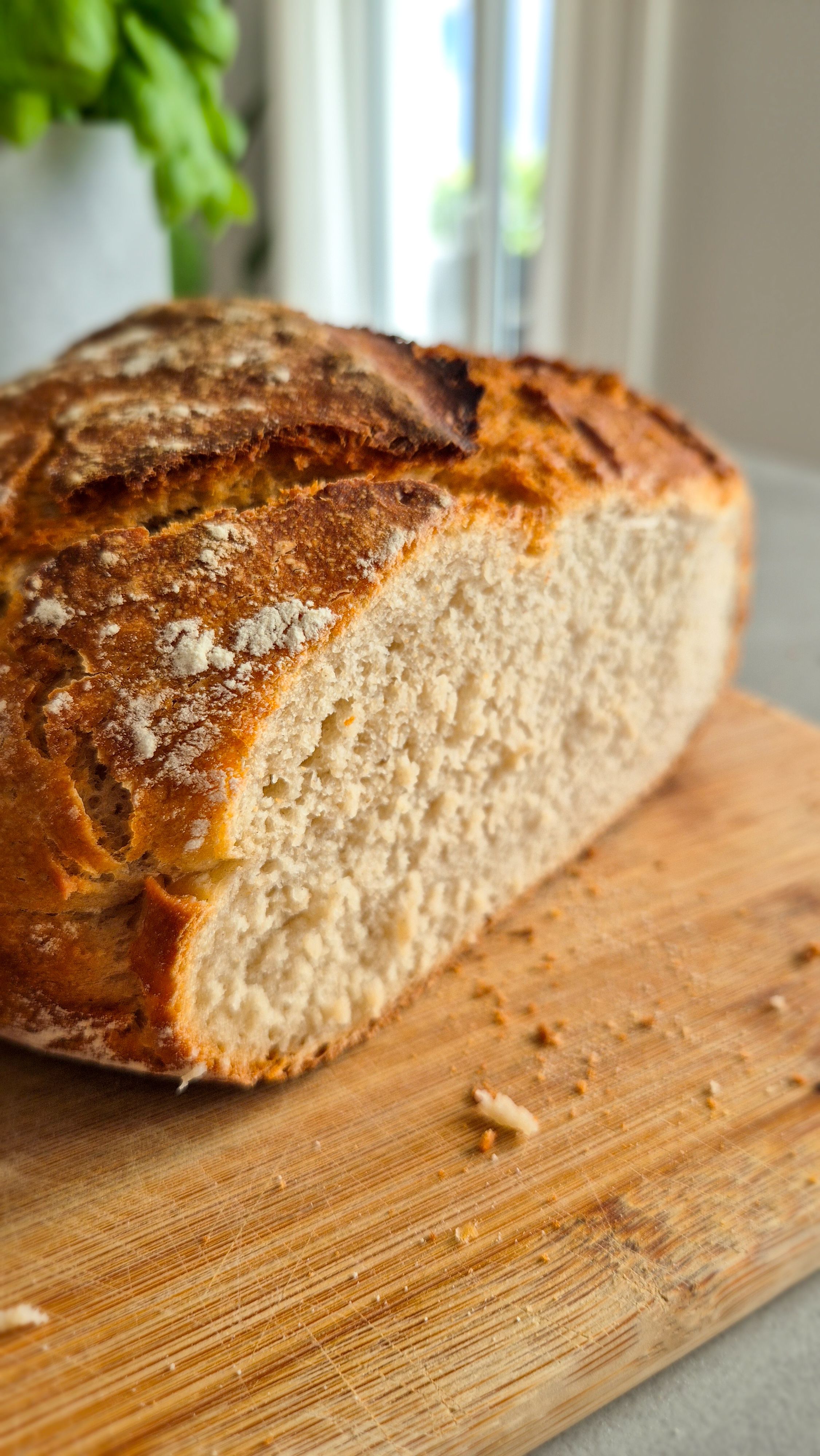 Joghurtkruste - Bild 2