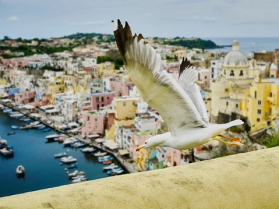 Italy 2023 0199 Output