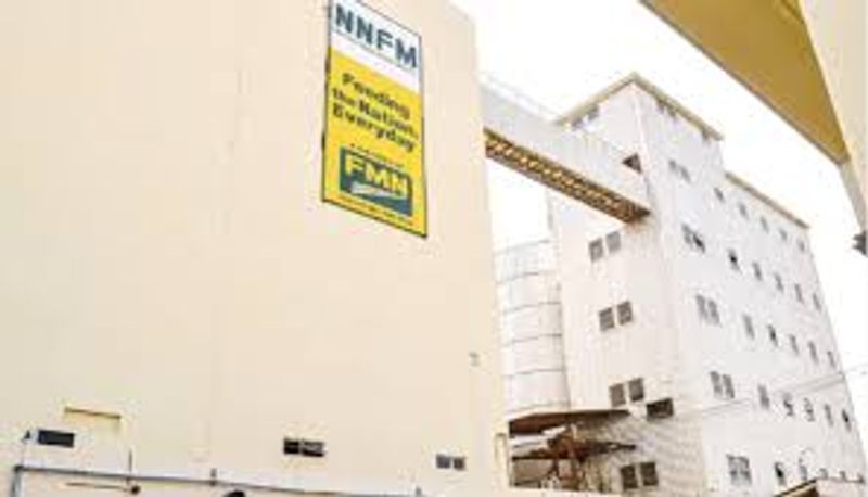 The Kano Miller's Difficult Year: NNFM Posts 96% Profit Collapse as Maize Sales Vanish and Finance Costs Bite