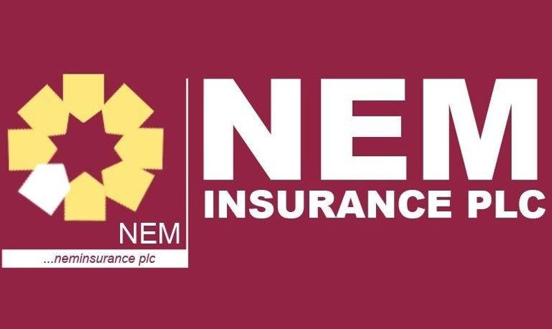NEM Insurance Projects ₦19.7 Billion H1 Profit as Oil & Gas Premiums Eclipse Motor for First Time