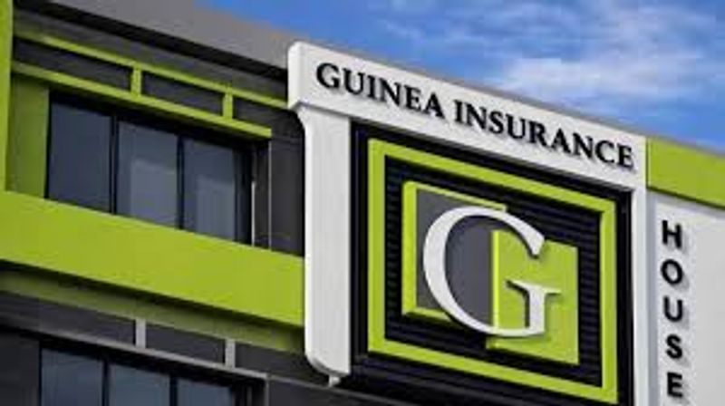 Capital Over Profit: Guinea Insurance Races to Meet Deadline as Losses Cloud Its N5.8bn Rights Issue