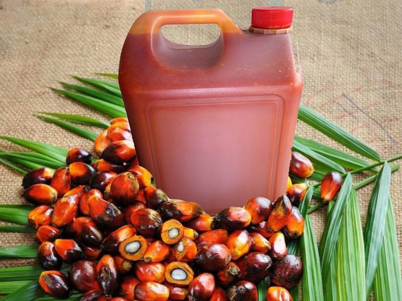 Nigeria’s Palm Oil Paradox: How Cheap Imports Are Strangling Local  Producers 