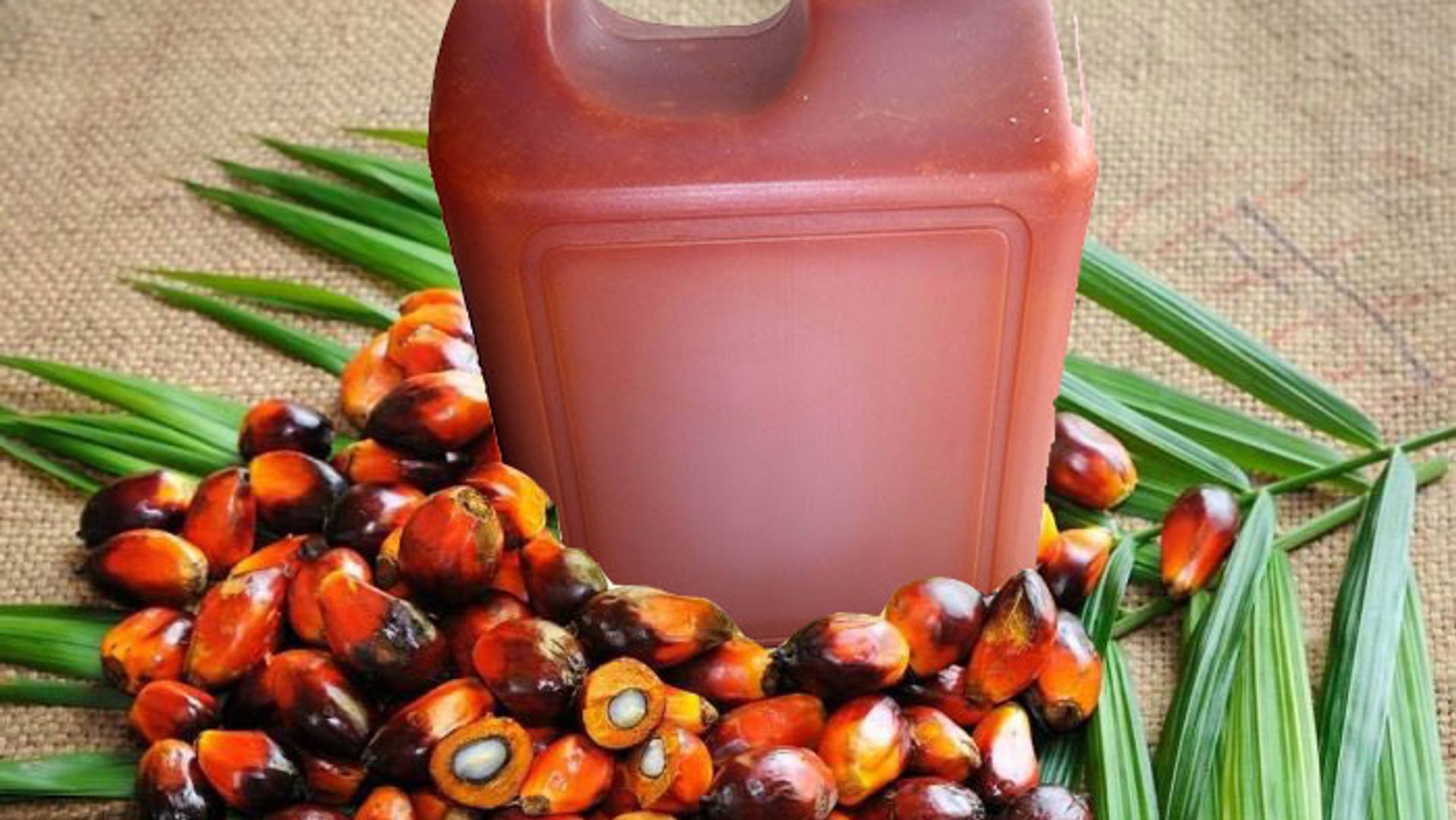 Nigeria’s Palm Oil Paradox: How Cheap Imports Are Strangling Local Producers