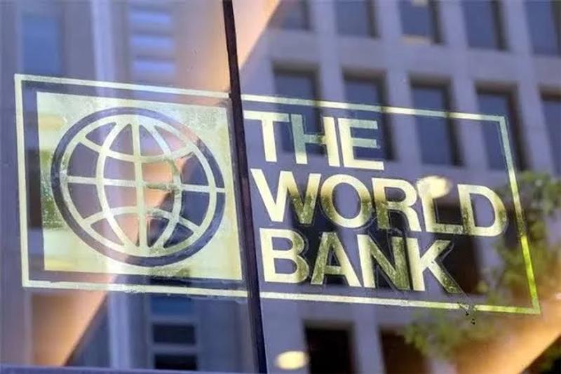 Malpass Calls Out Nigeria by Name, Warning Its Collateral-Backed Loans Create a Debt Restructuring Time Bomb
