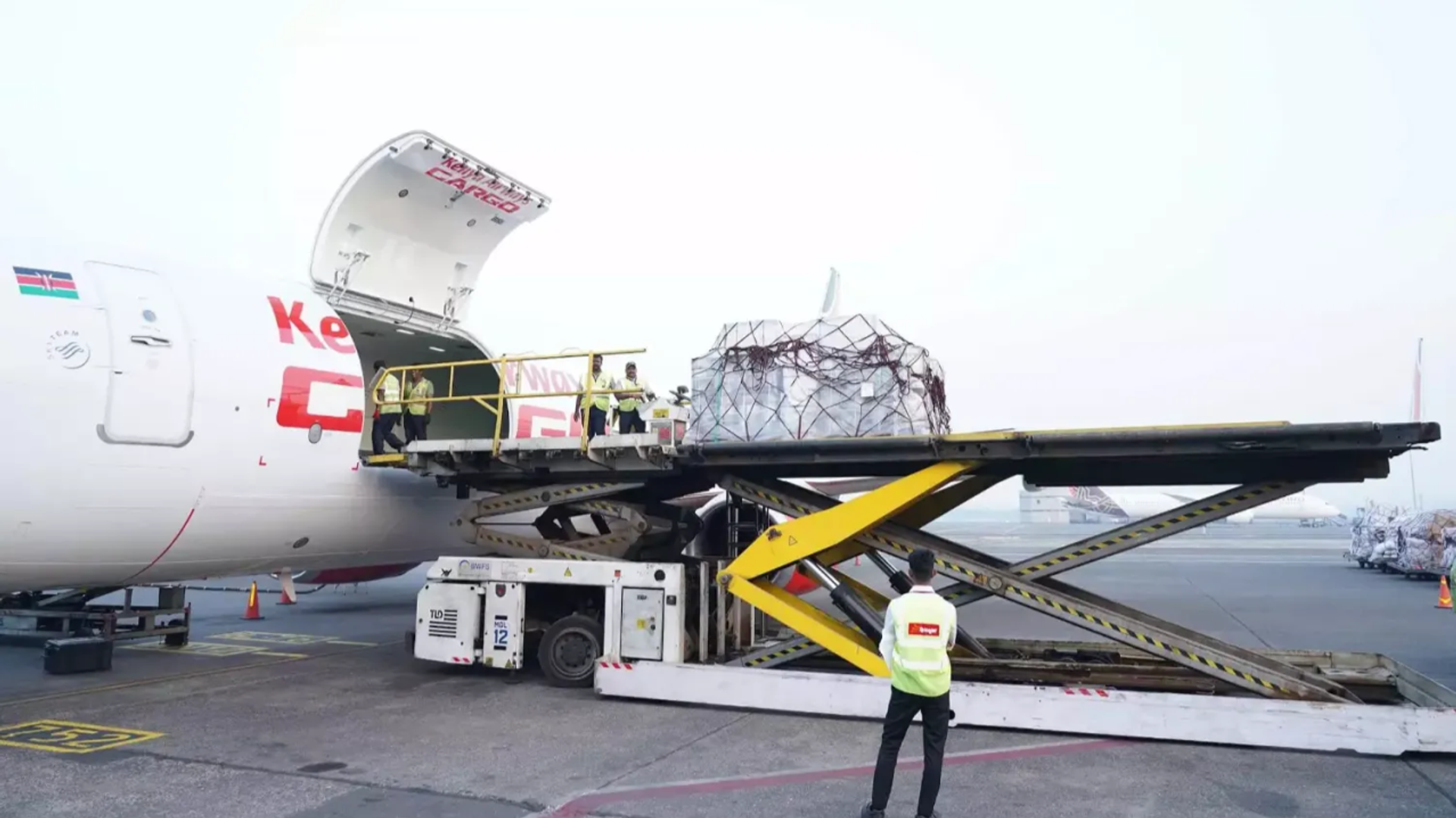 Africa–Asia Cargo Route Surges 41.6% as Global Air Freight Posts Strong January
