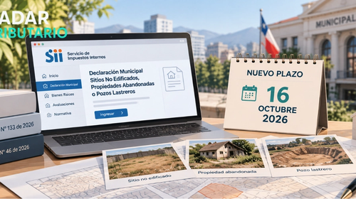Documento oficial del SII sobre plazos de información tributaria para municipalidades
