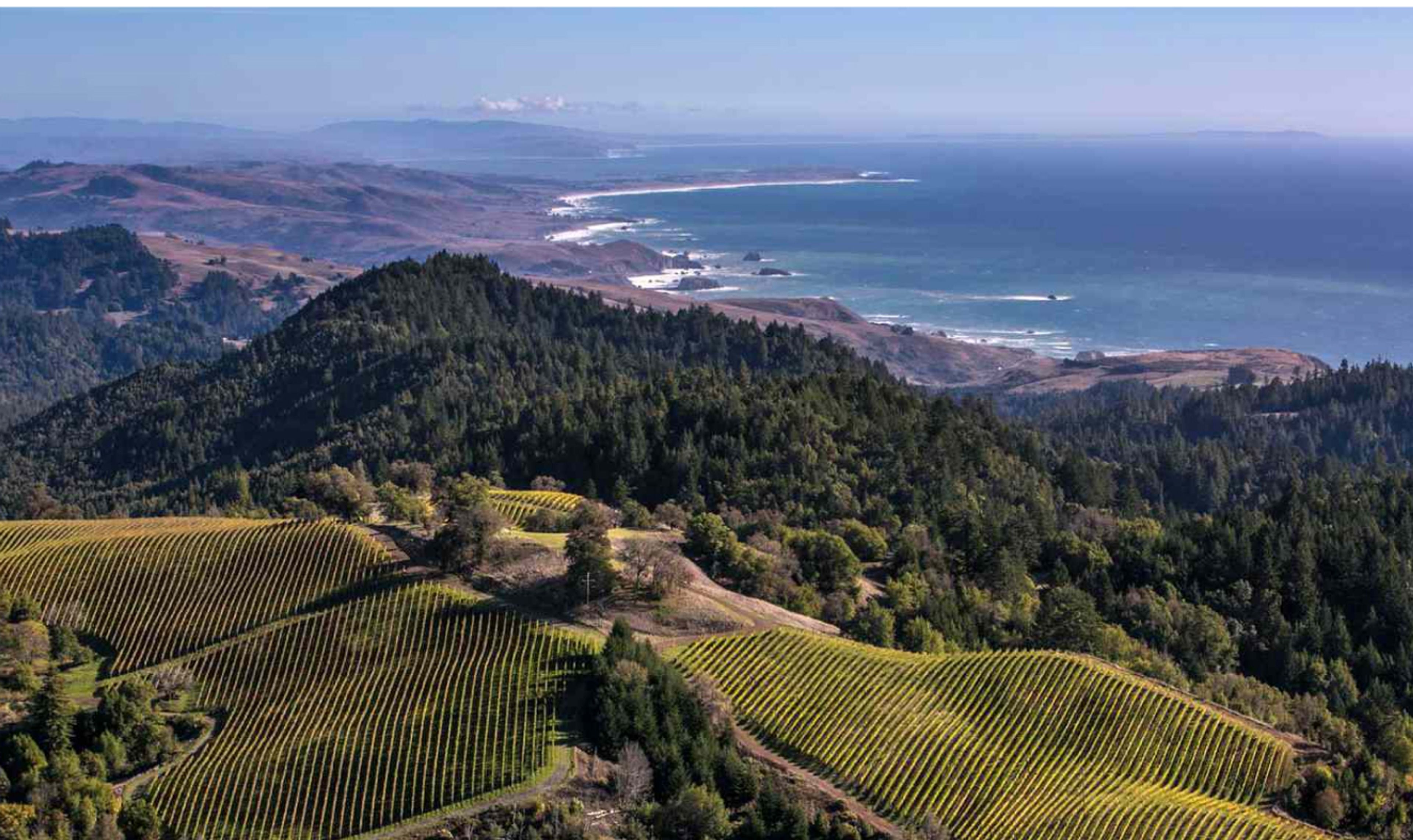 Beacon Grand - Heart of San Francisco Beyond the Bay