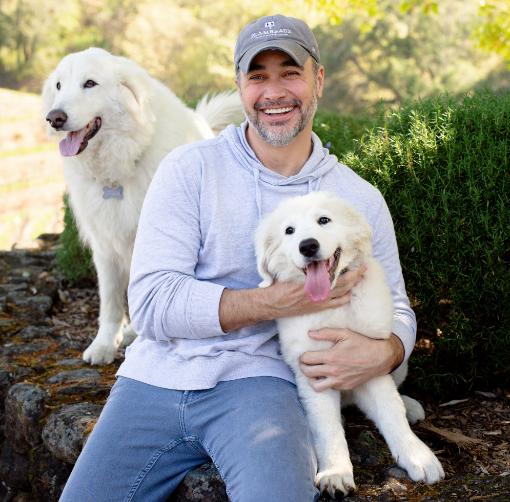 man with dogs