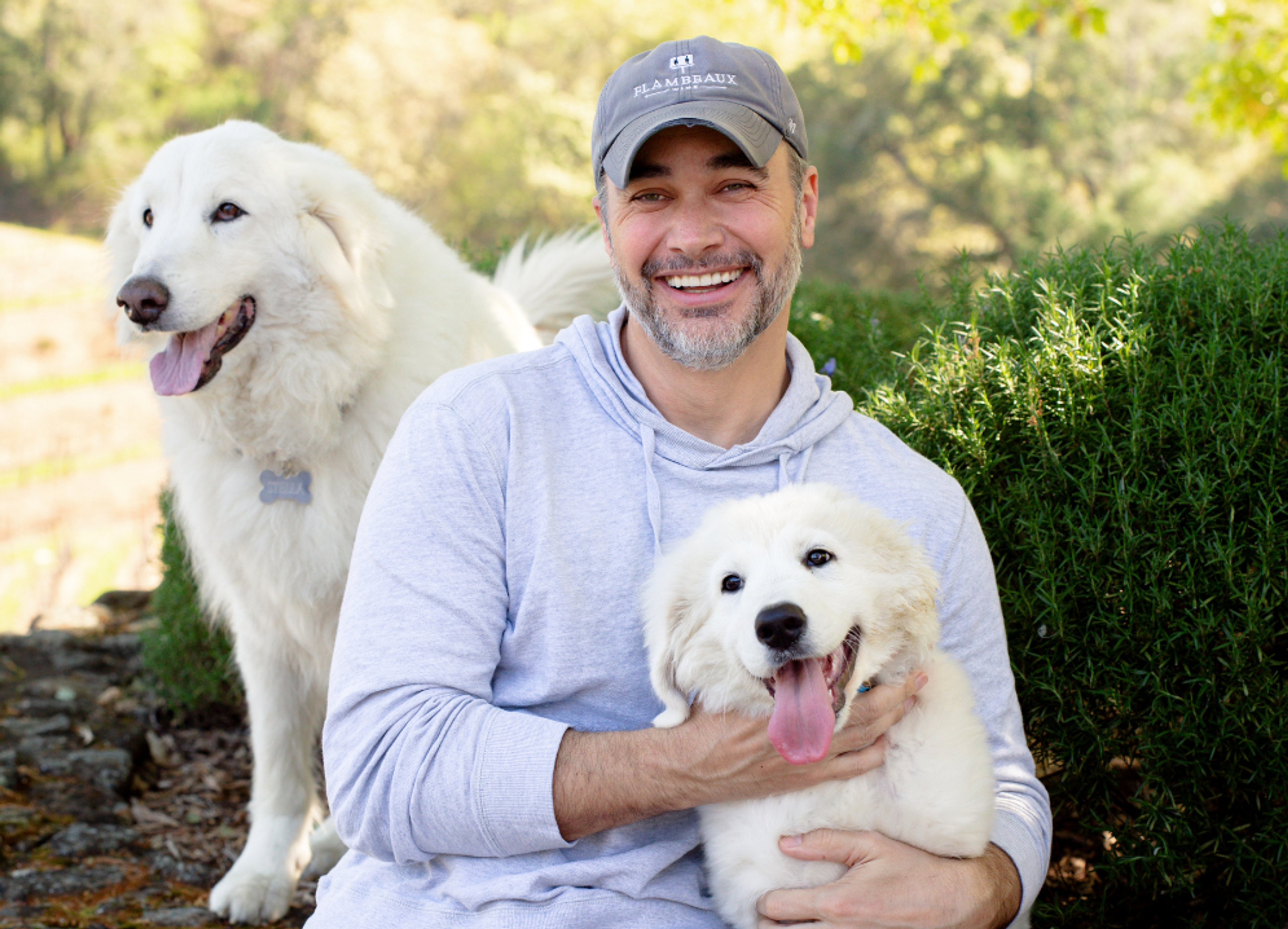 man with dogs