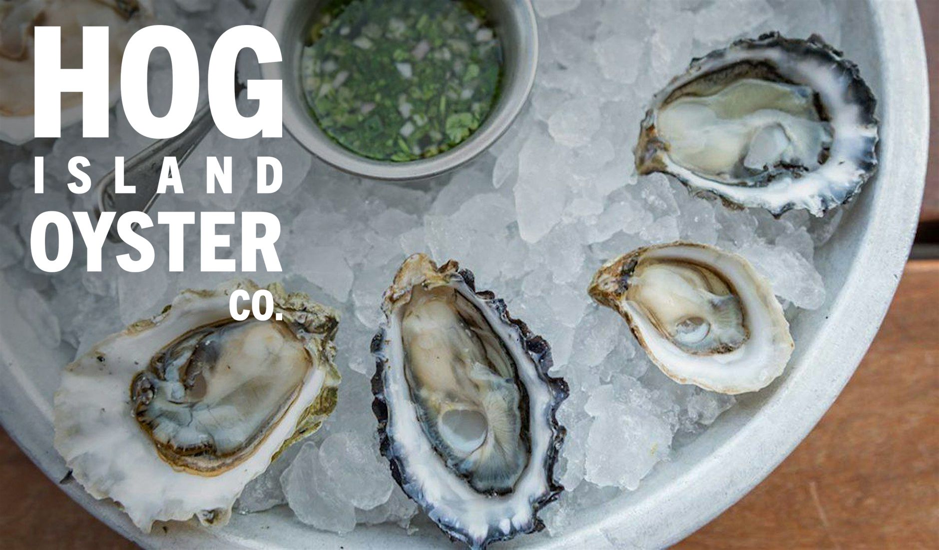 Beacon Grand - Hog Island Oyster