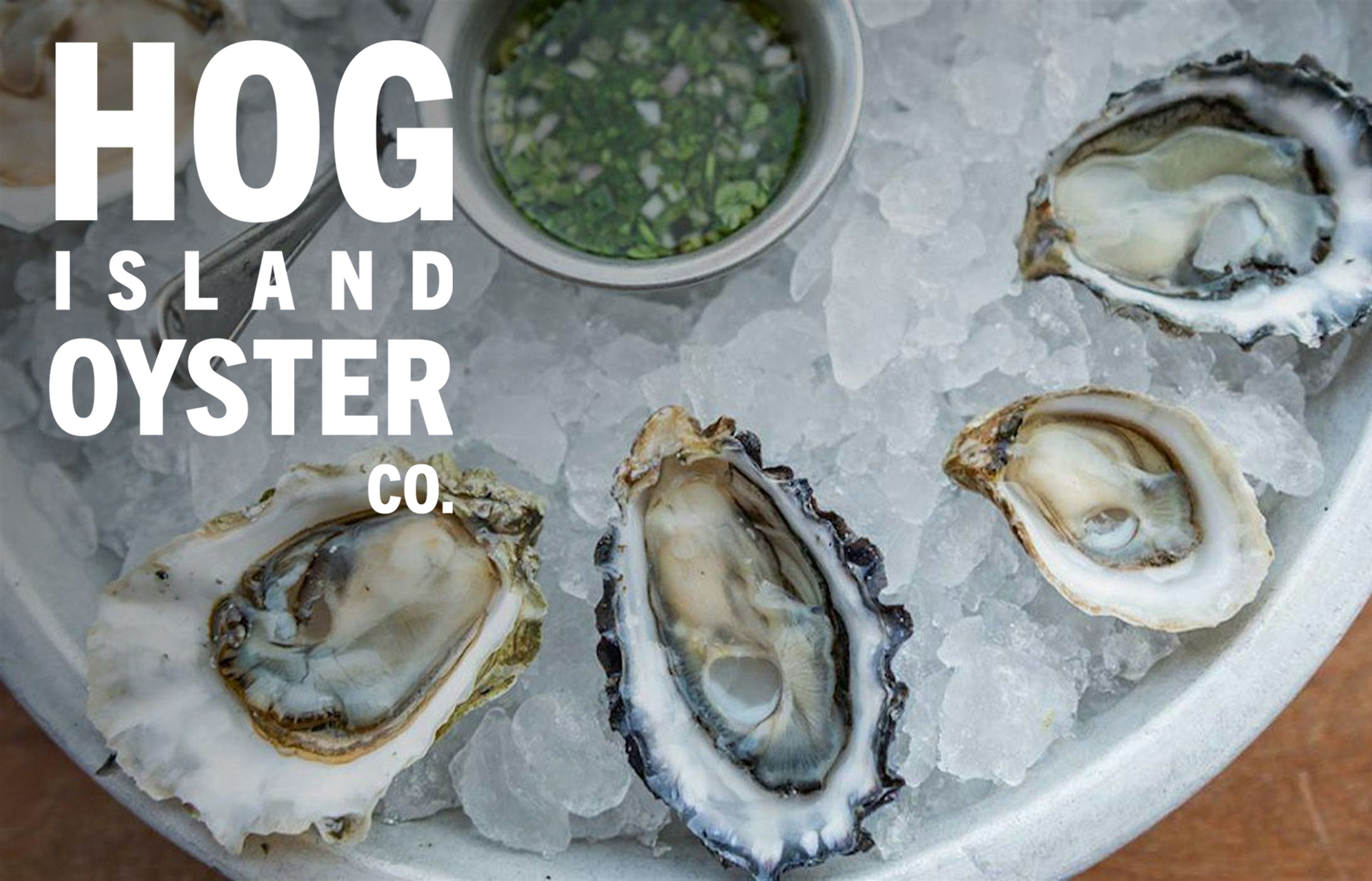 Beacon Grand - Hog Island Oyster