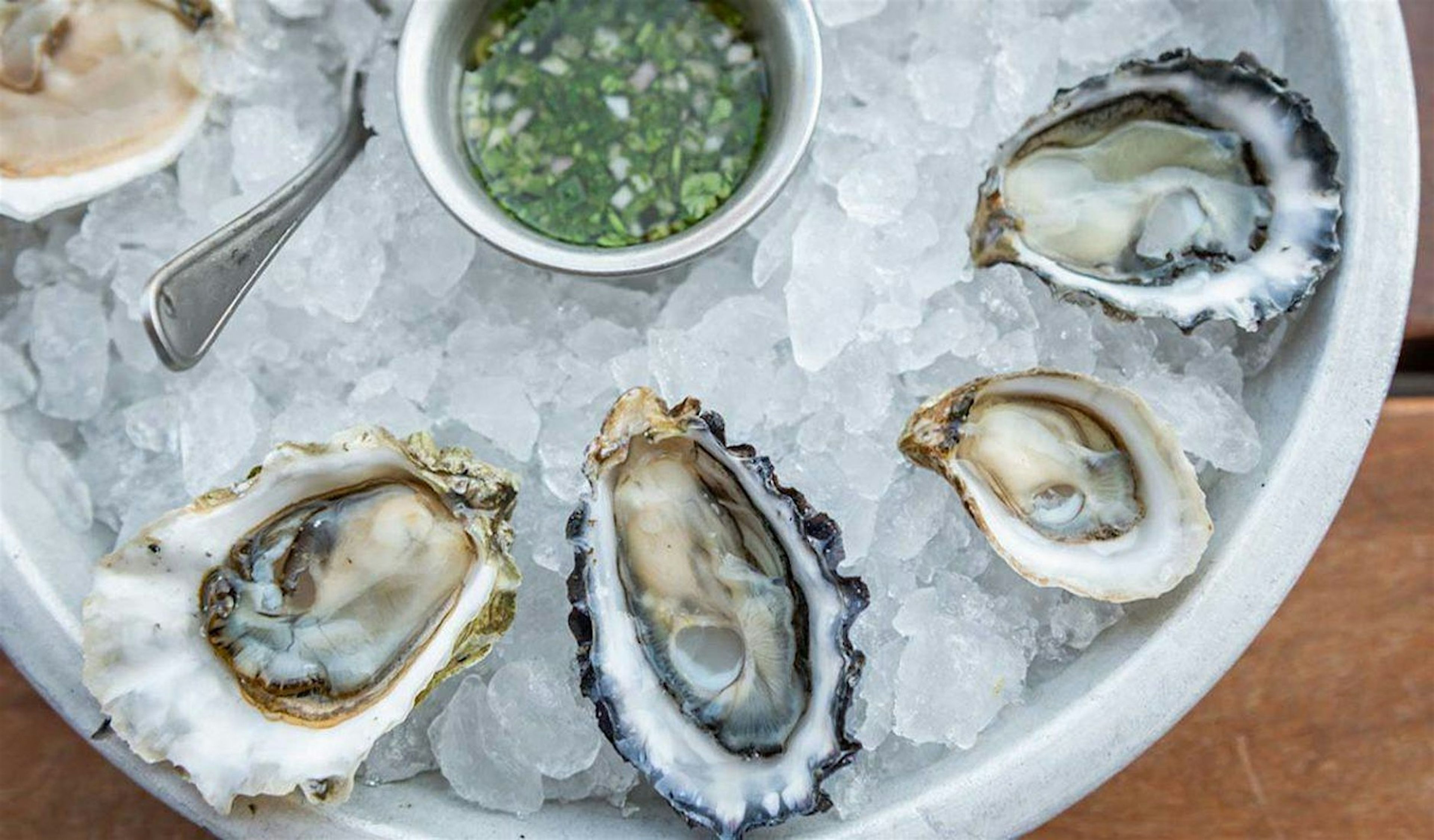 Hog Island Oyster