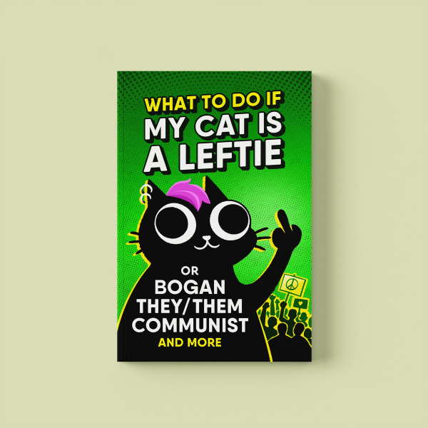 What to do if my cat is a Leftie